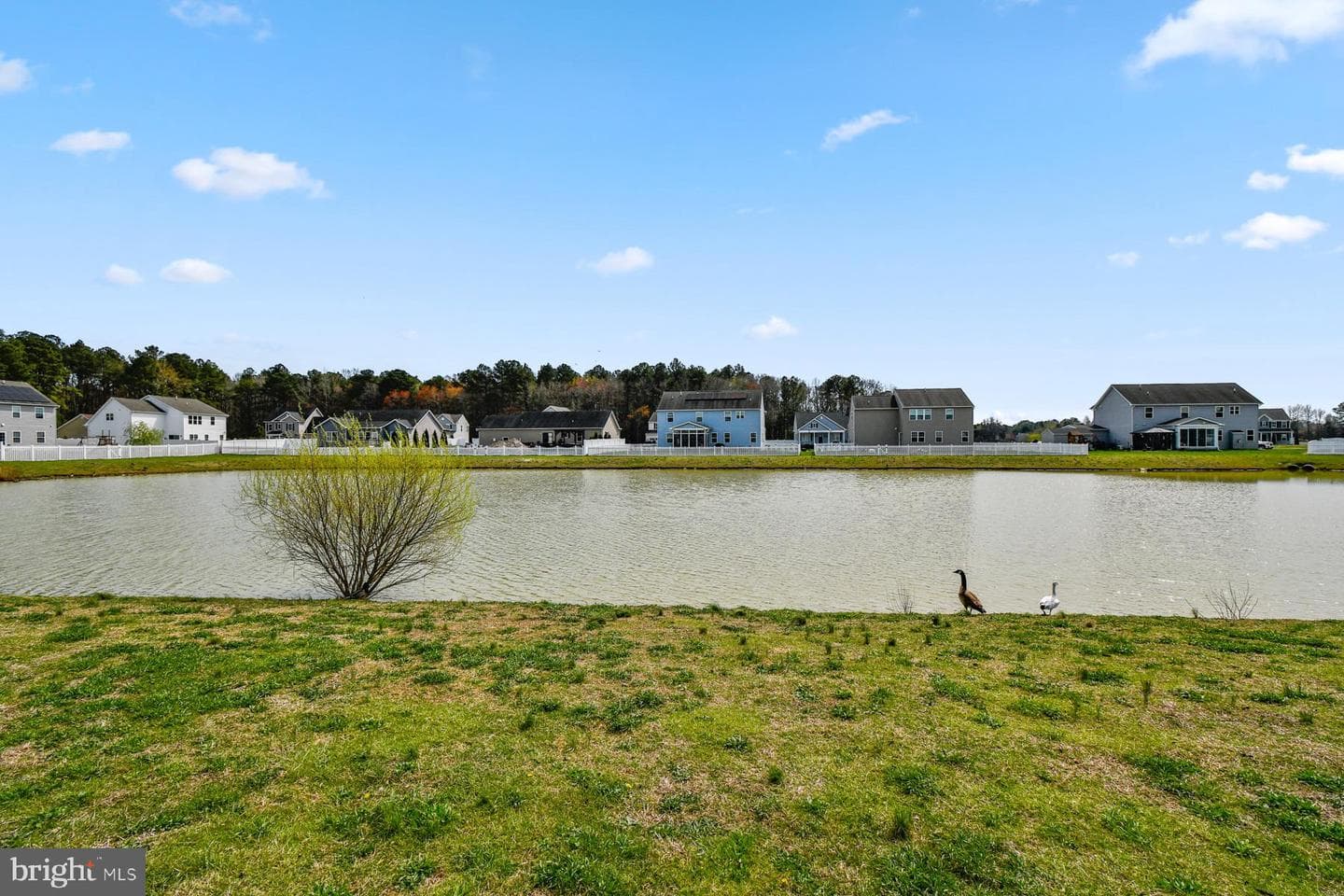 30717 Hawks Way photo 49