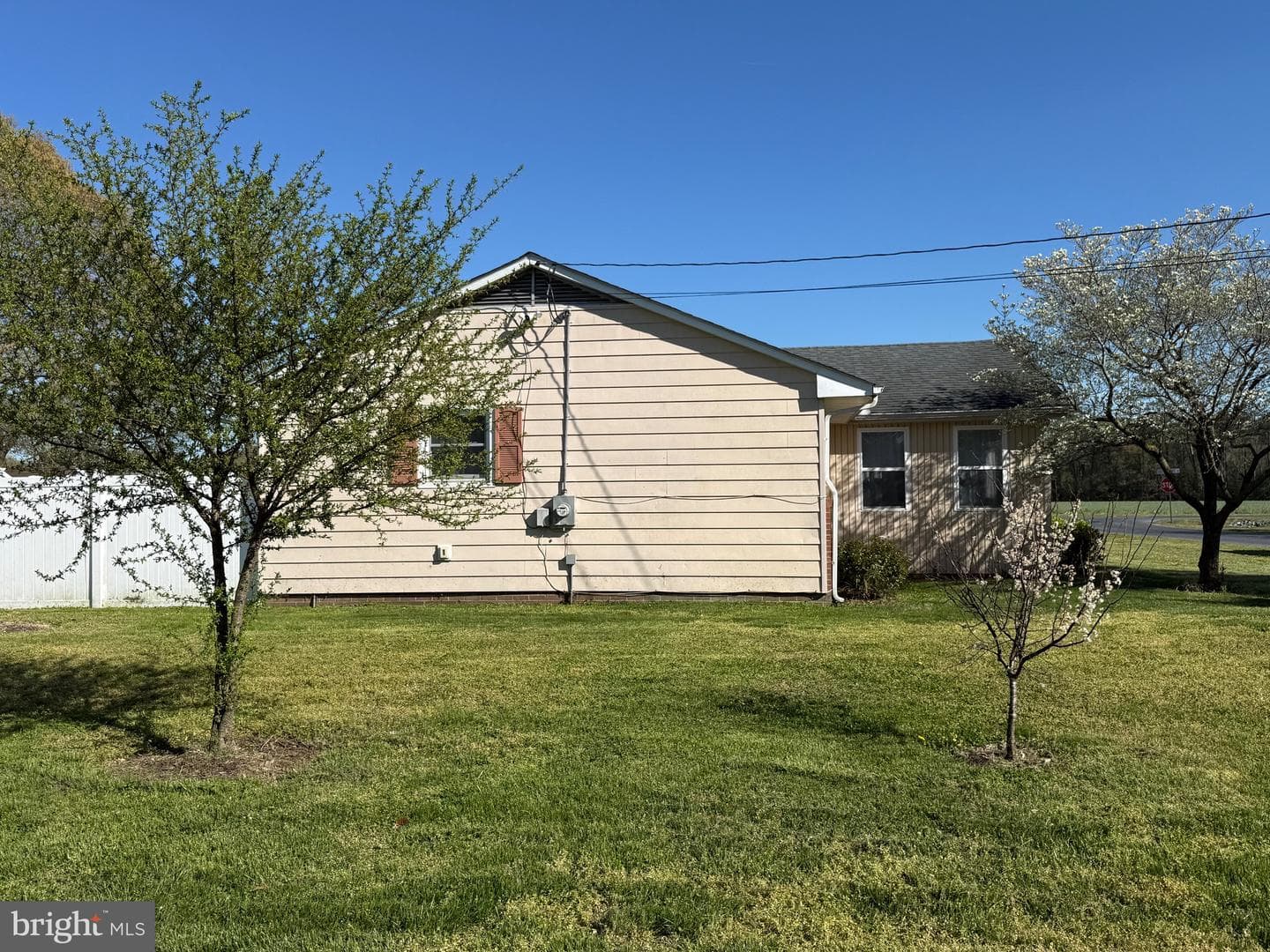 501 Chestnut Street photo 7