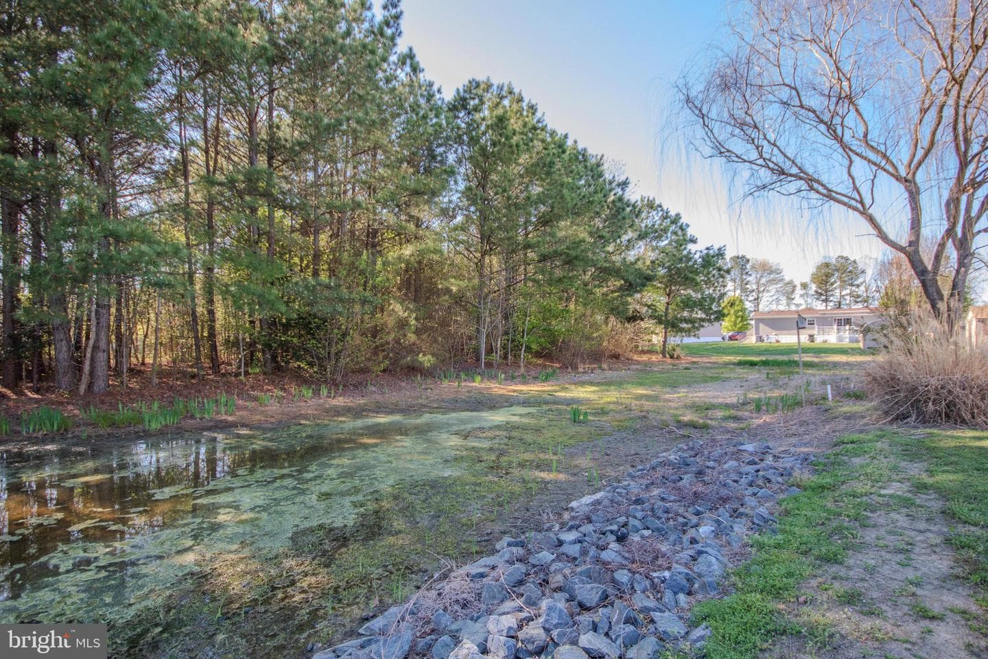 26921 Osprey Circle photo 33