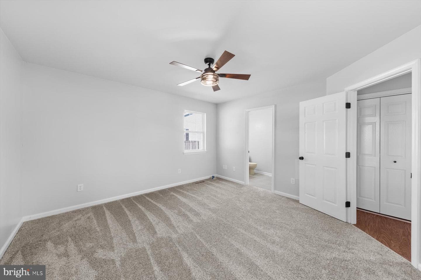 210 Bradley Street photo 22