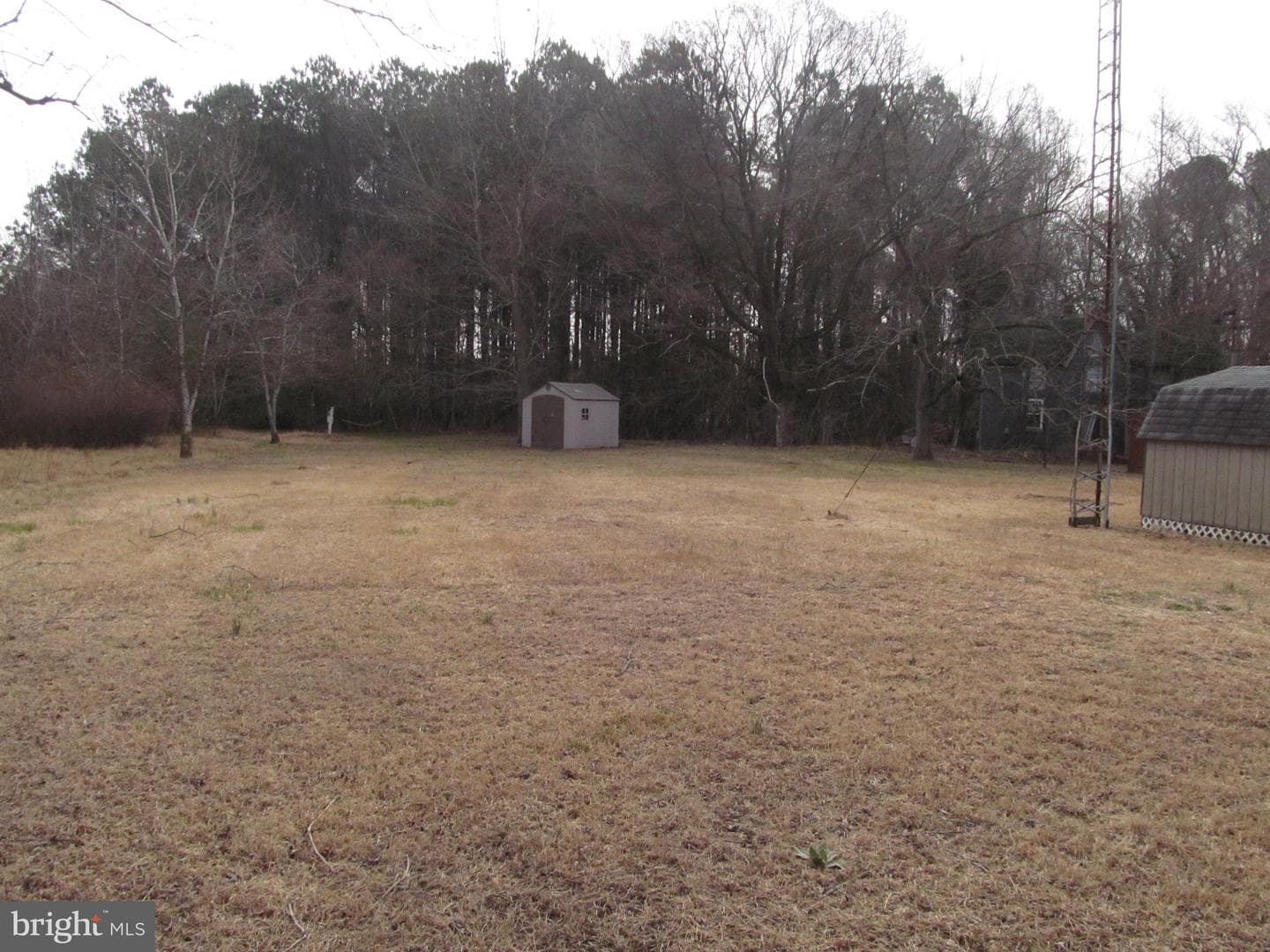 3317 Texas Road photo 5