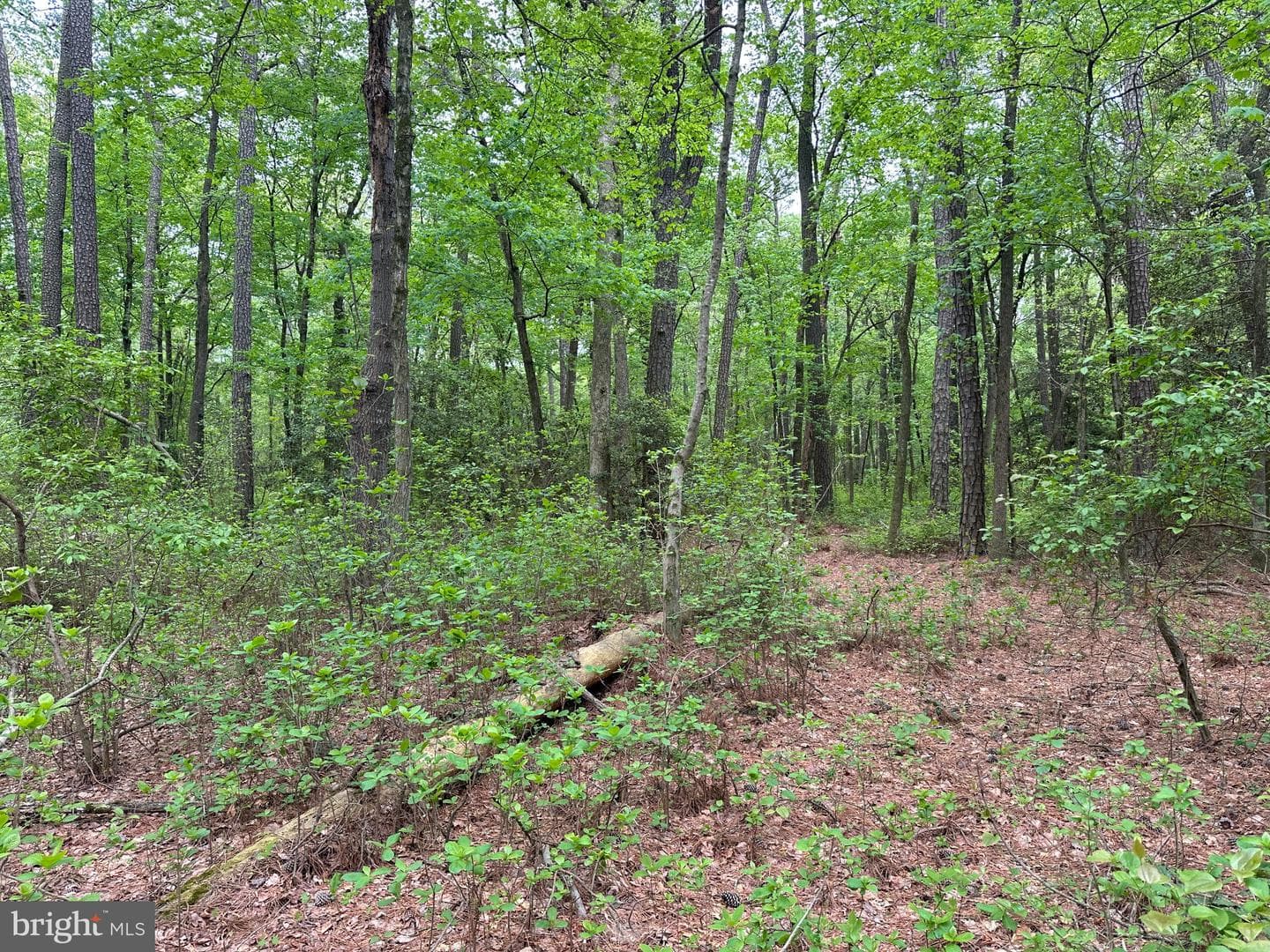 28403 Old Eden Road photo 23