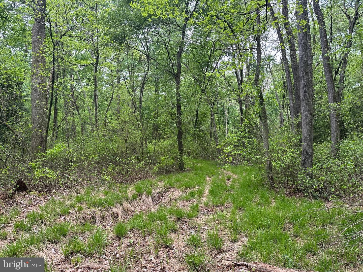 28403 Old Eden Road photo 9