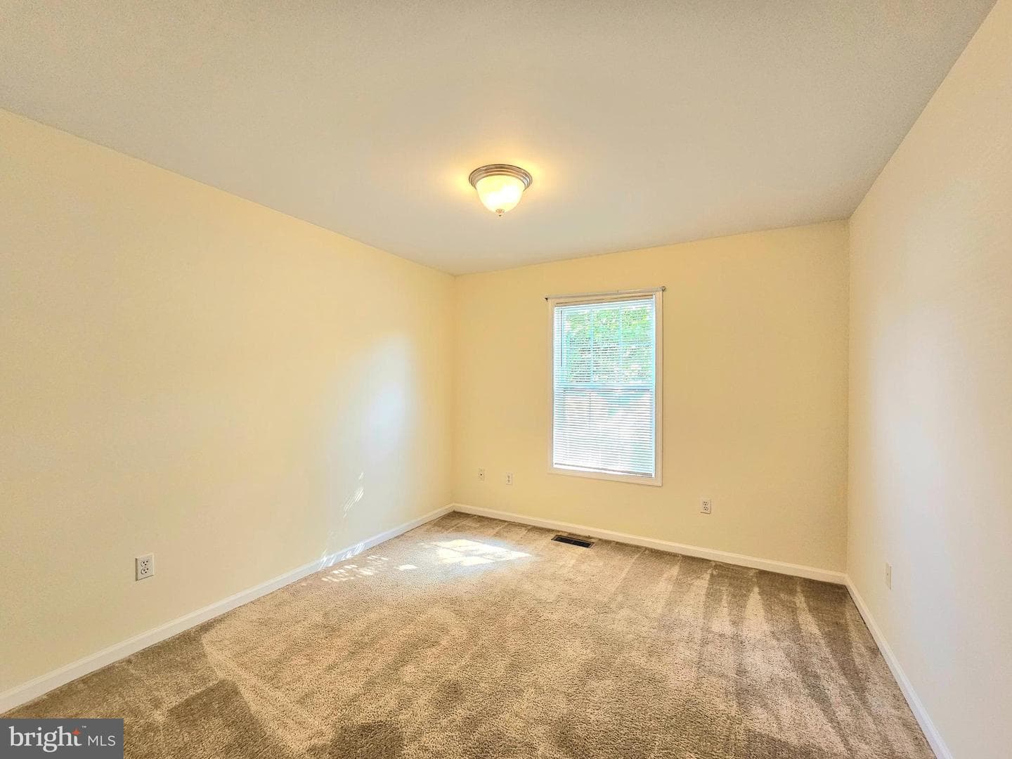 34764 Sandyfield Drive photo 13