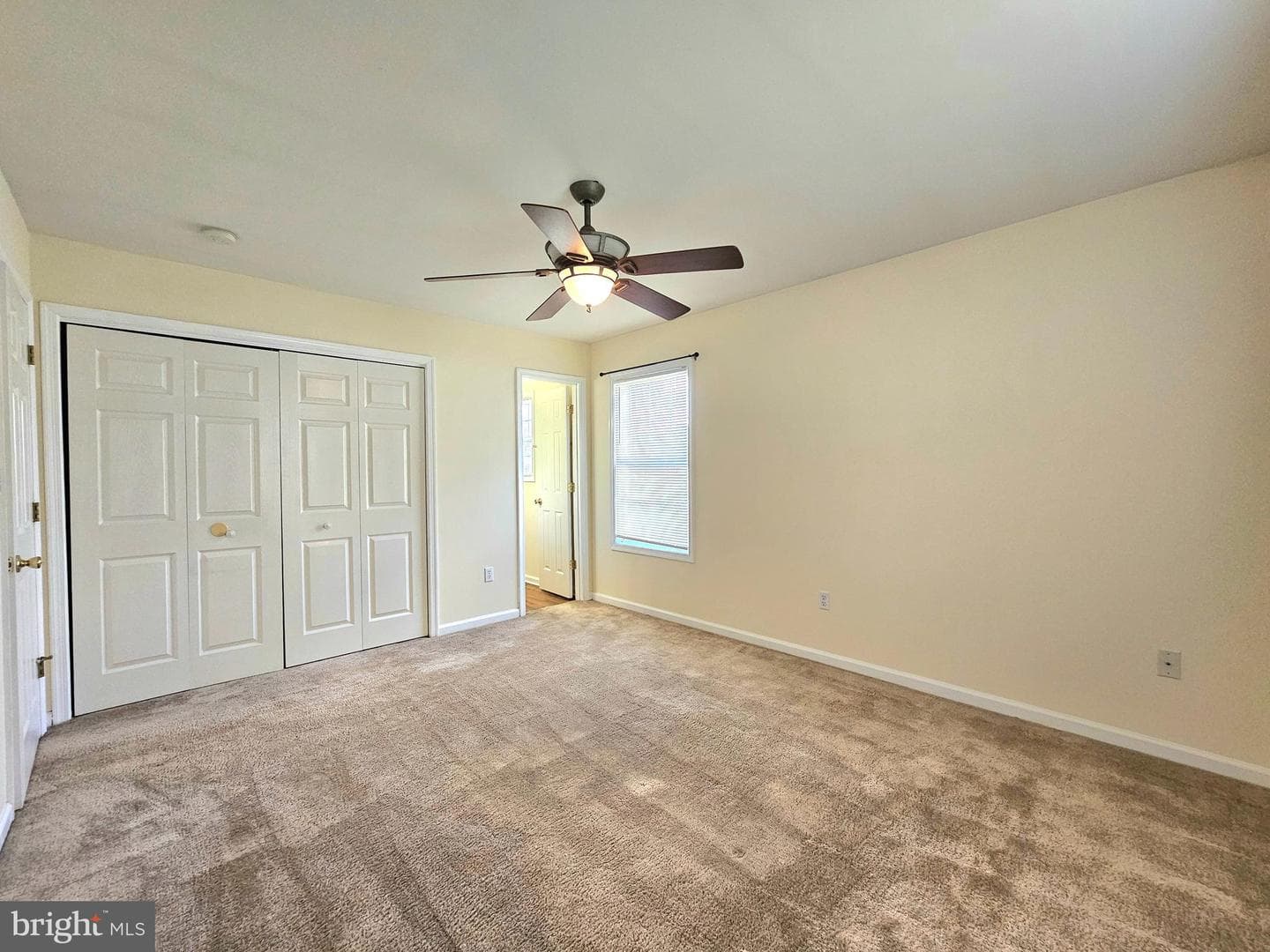 34764 Sandyfield Drive photo 20