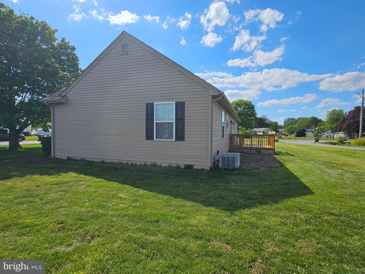 34764 Sandyfield Drive photo 24