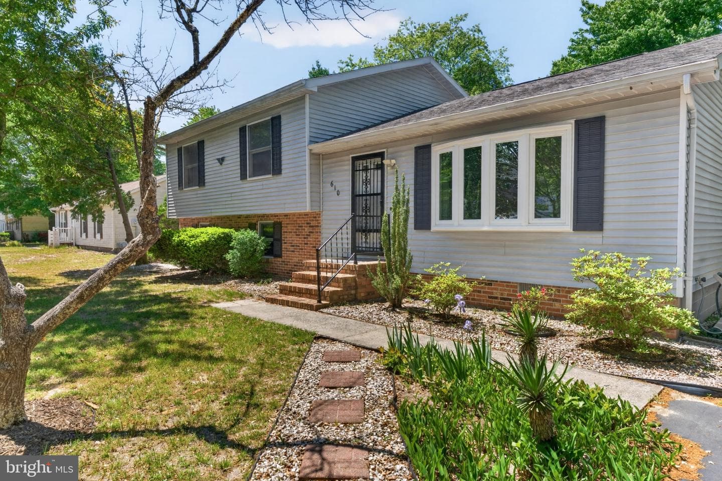 610 Terrapin photo 5