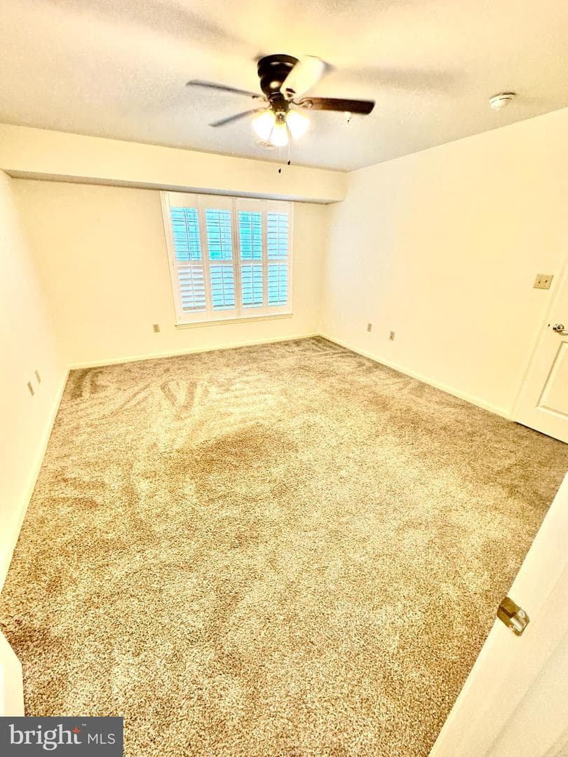 1103 S Schumaker Drive #c-006 photo 14