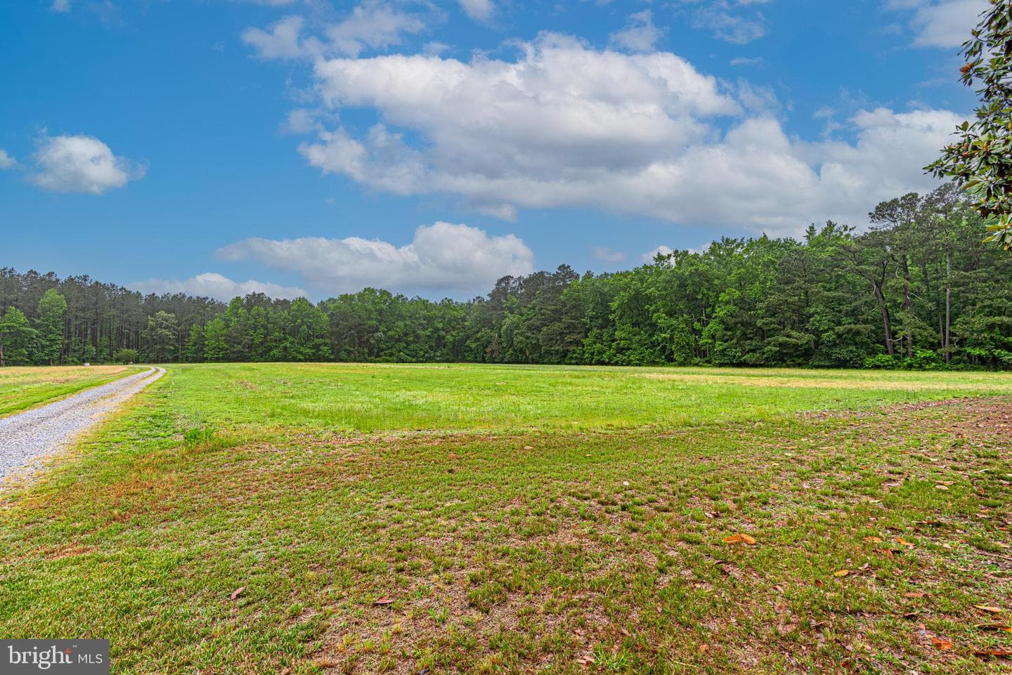 33550 Mount Hermon Rd photo 6
