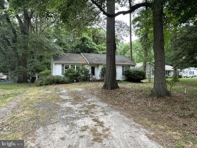 30464 Cannon Drive photo 3