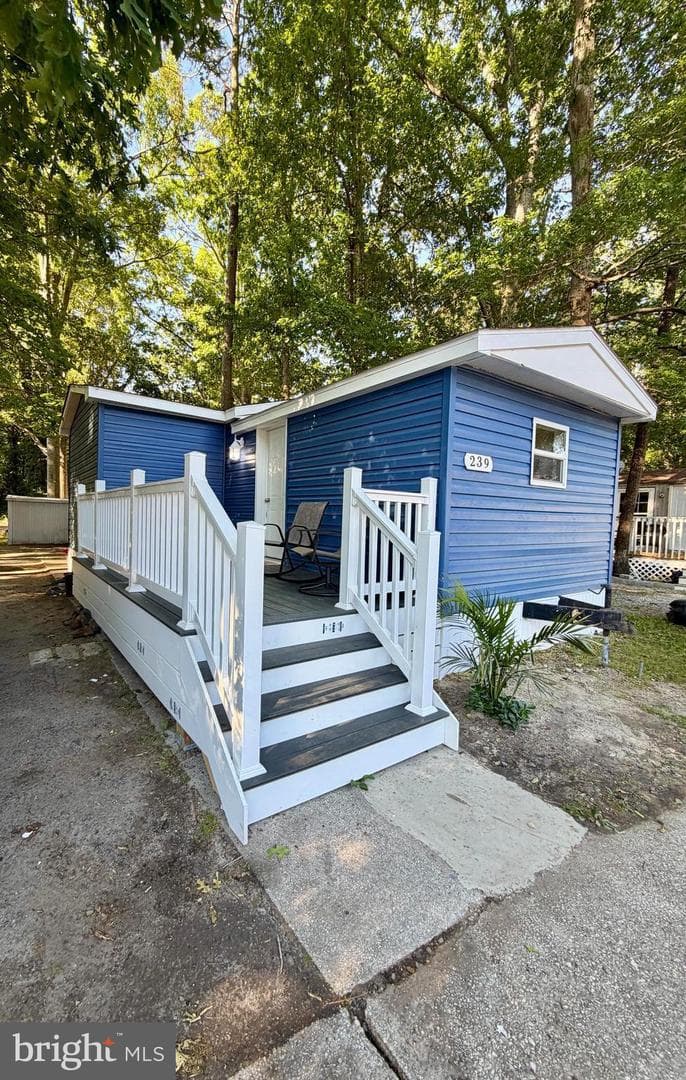 239 Dove Street photo 1