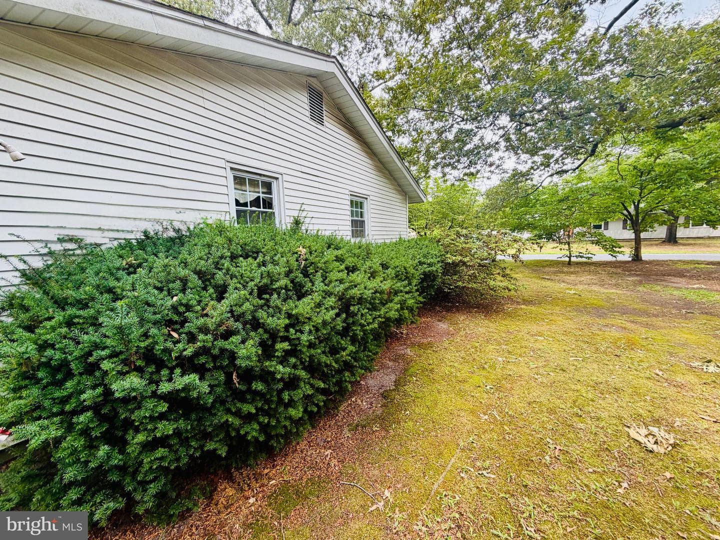 6858 Lois Avenue photo 67