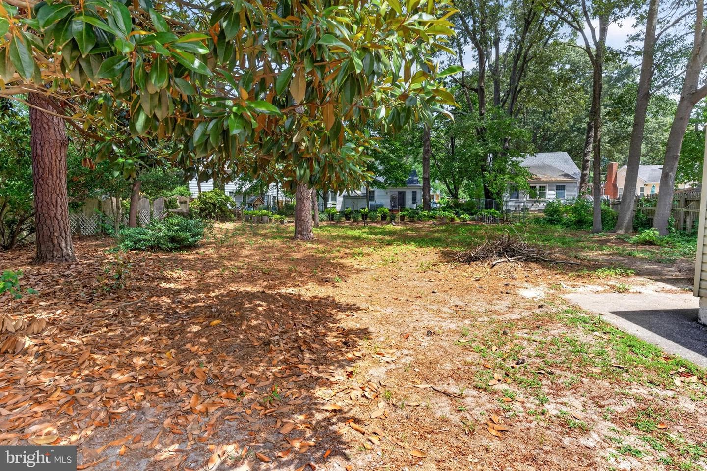 509 Loblolly Lane photo 43
