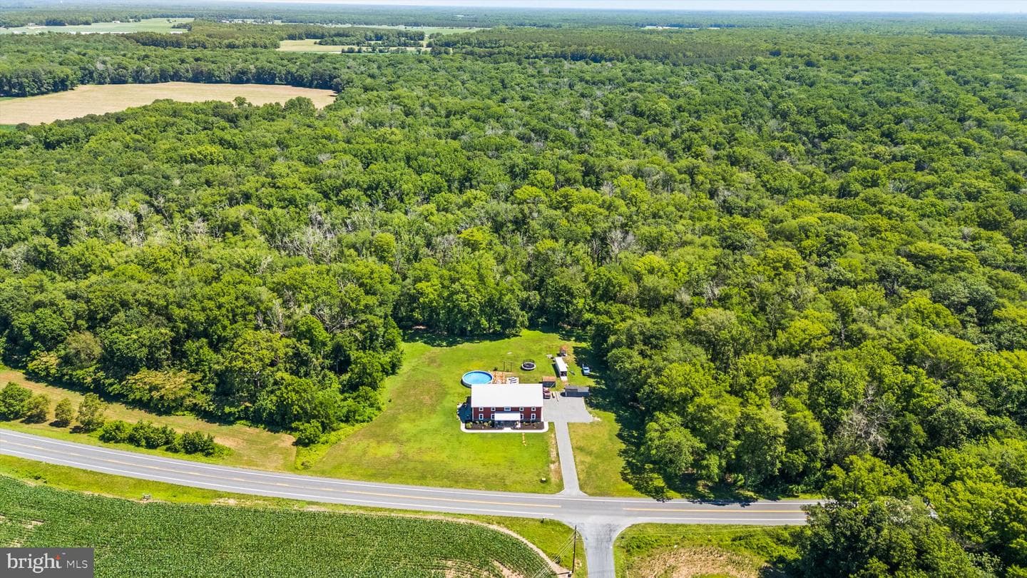 4505 Burbage Crossing Road photo 53