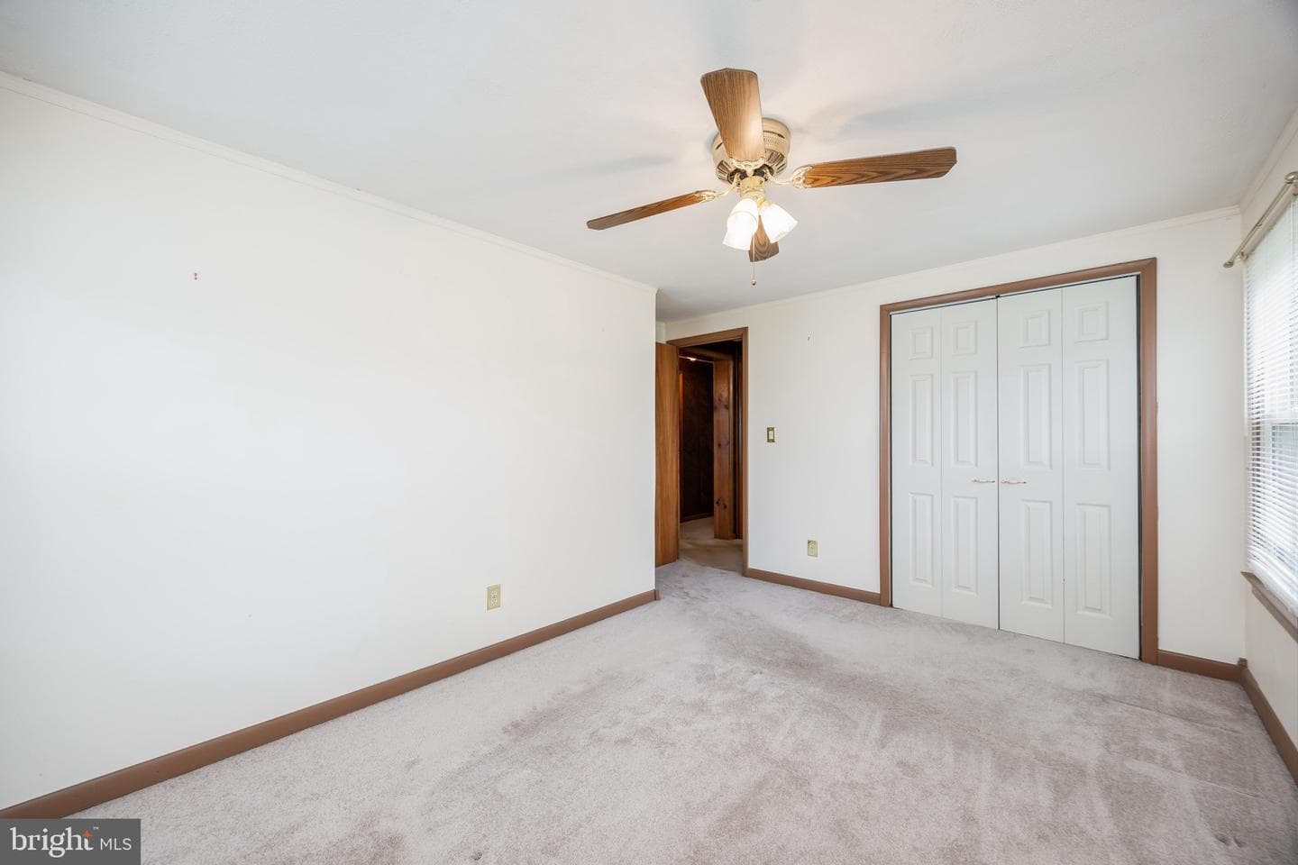 304 Calvin Drive photo 37