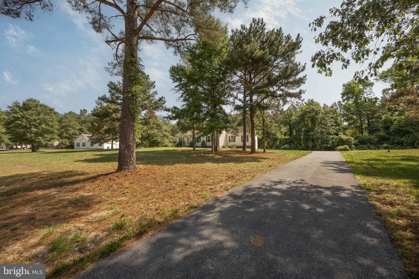 6033 Deer Creek Drive photo 56