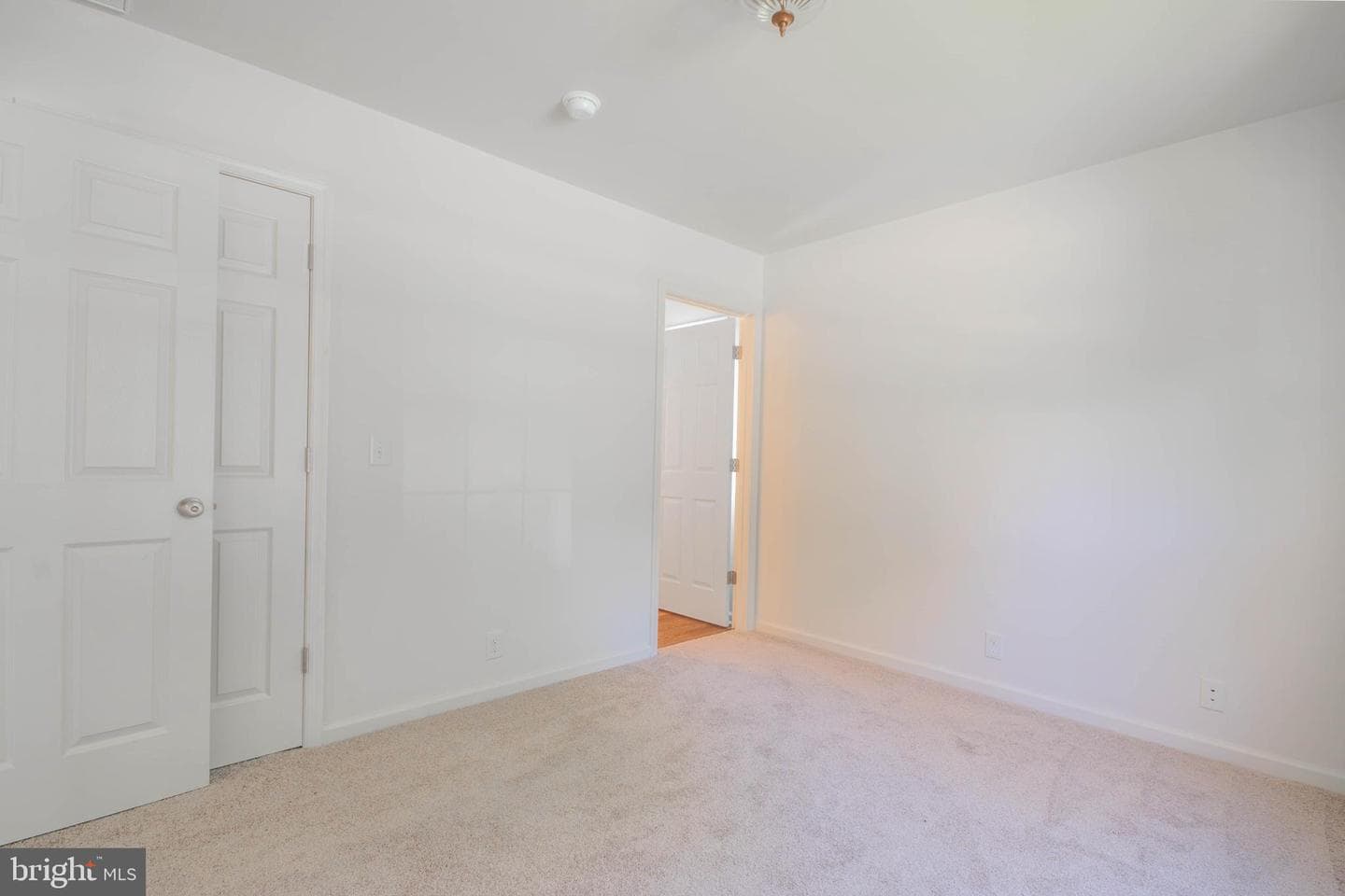 811 Springfield Circle photo 13