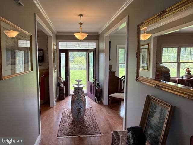 3372 Residential Drive photo 5