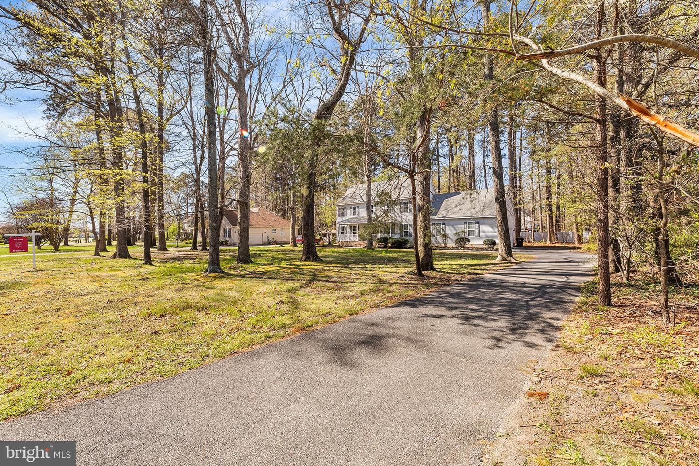 6262 White Cove Drive photo 3