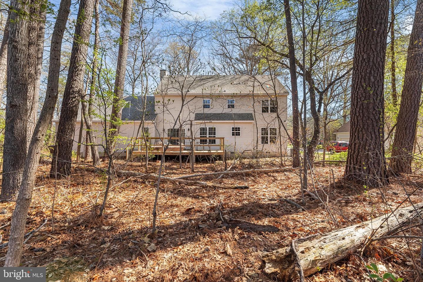6262 White Cove Drive photo 46