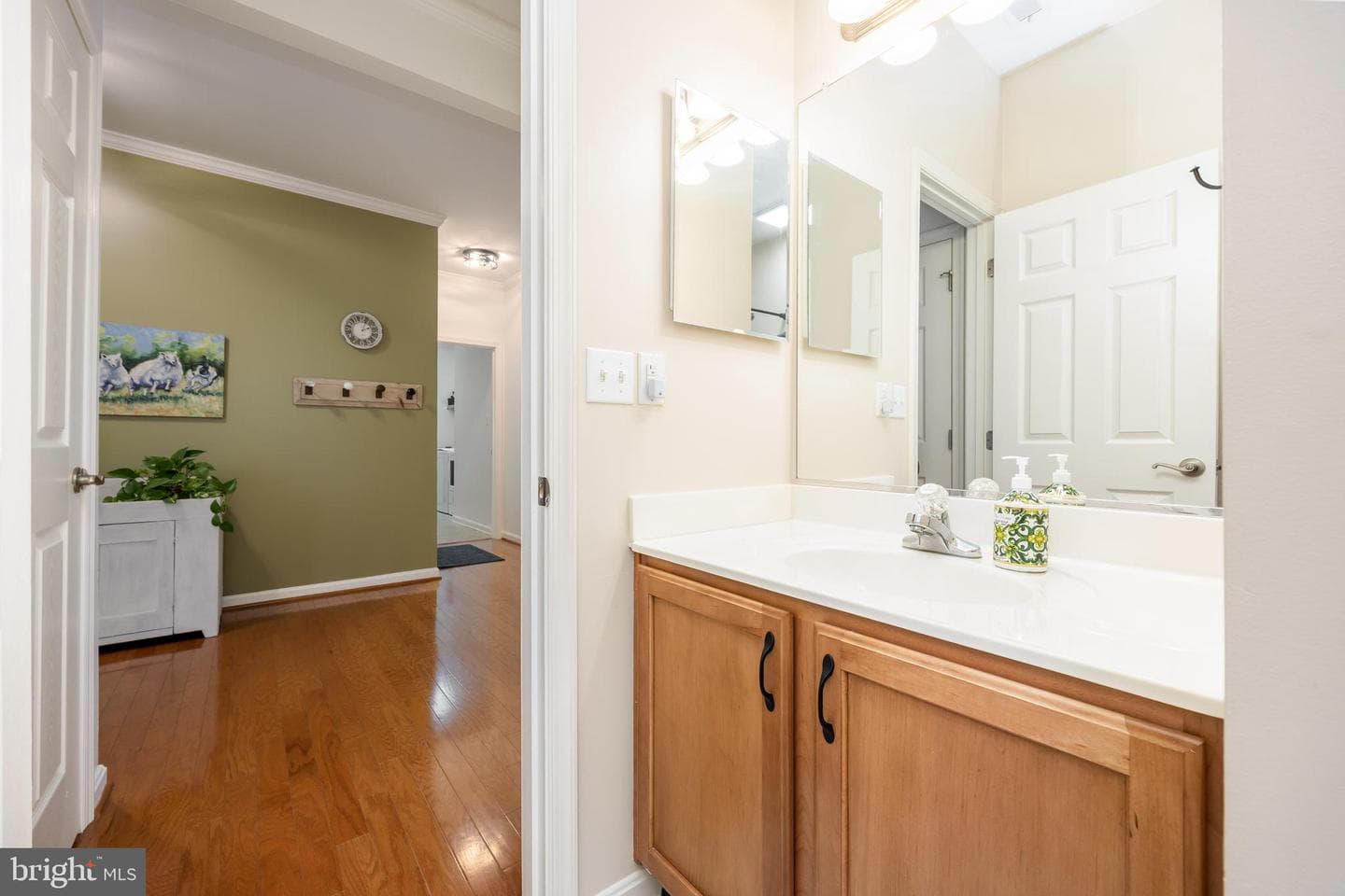 9187 Clubhouse Drive photo 25