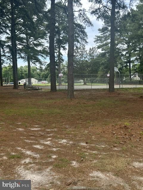 907 Chippewa Boulevard photo 14