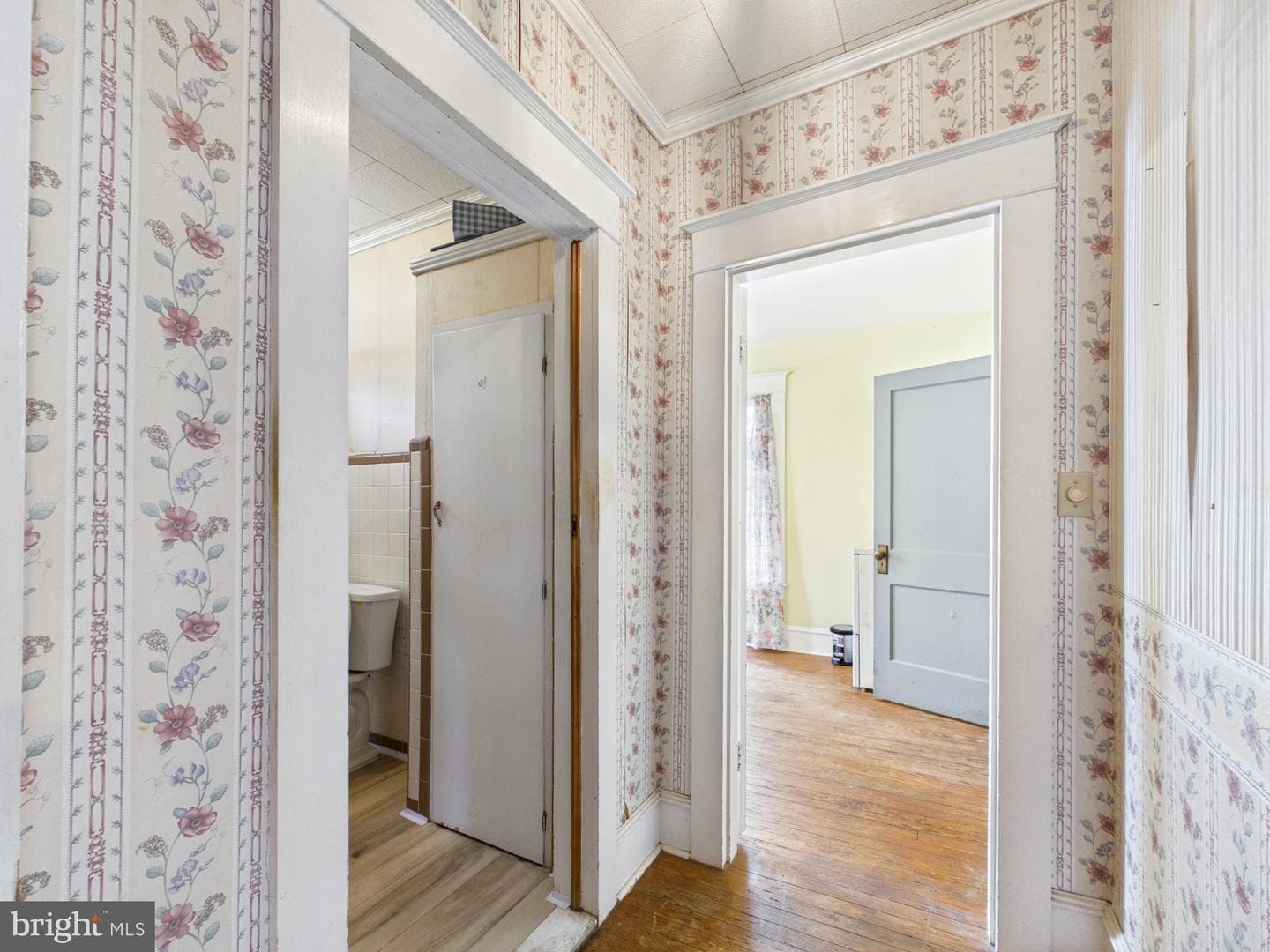 310 Lillian Street photo 29