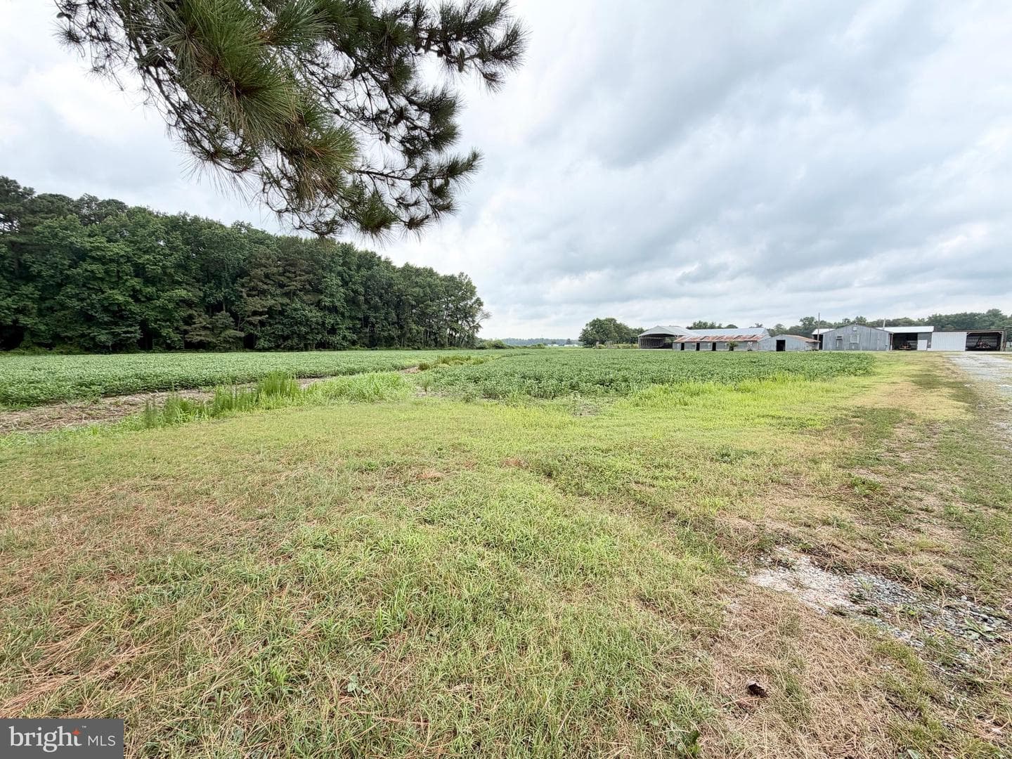 34756 Casher Wells Road photo 7