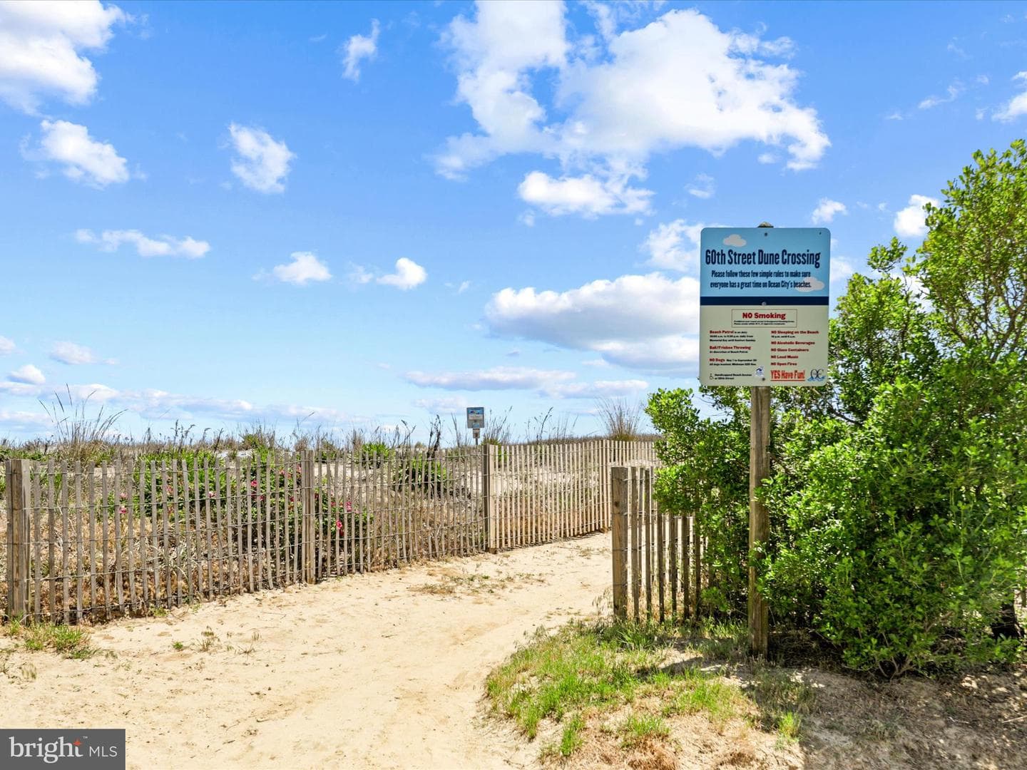 8 60th Street #301 photo 57