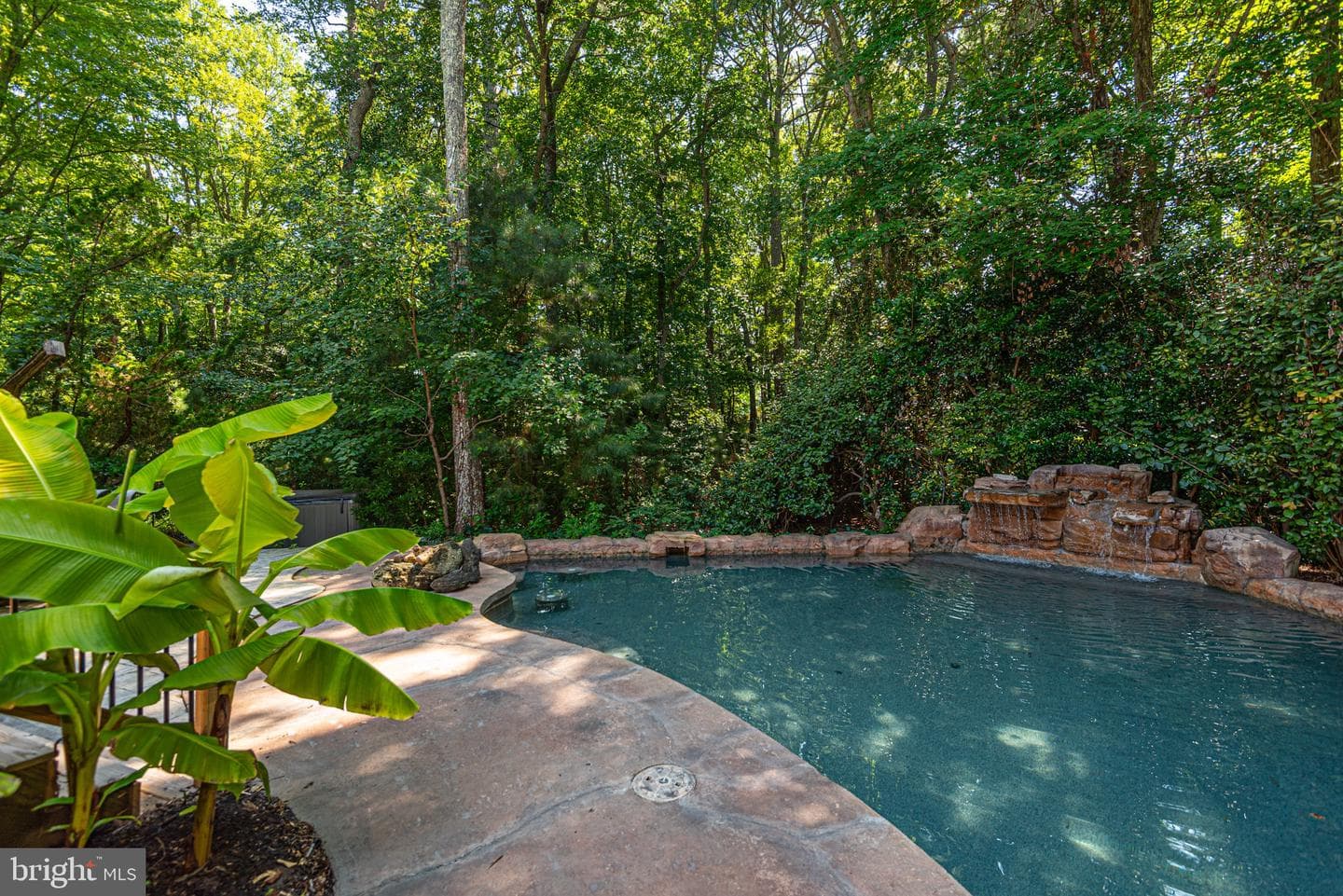 12529 Deer Point Circle photo 23