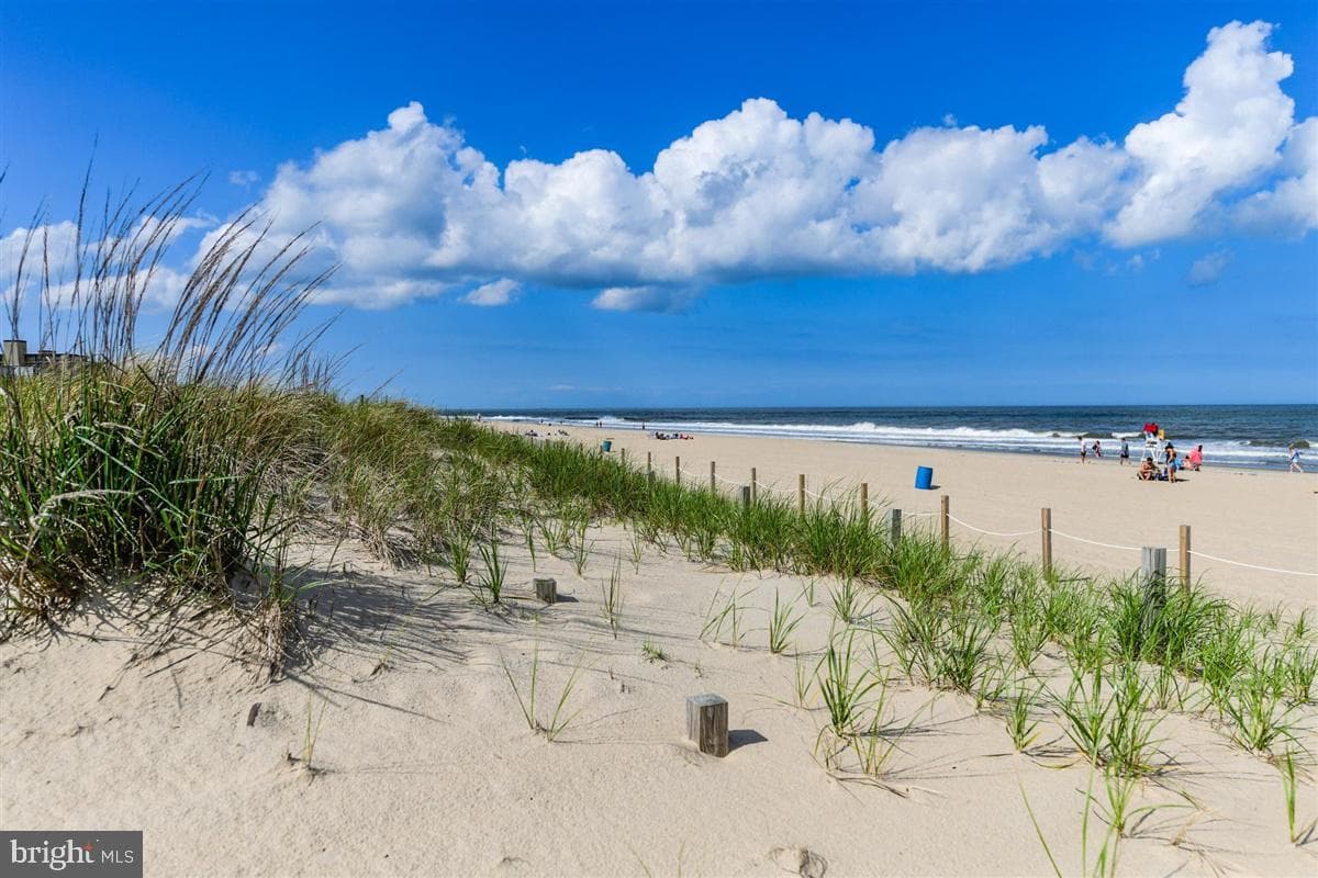 13100 Coastal Highway #140202 photo 45