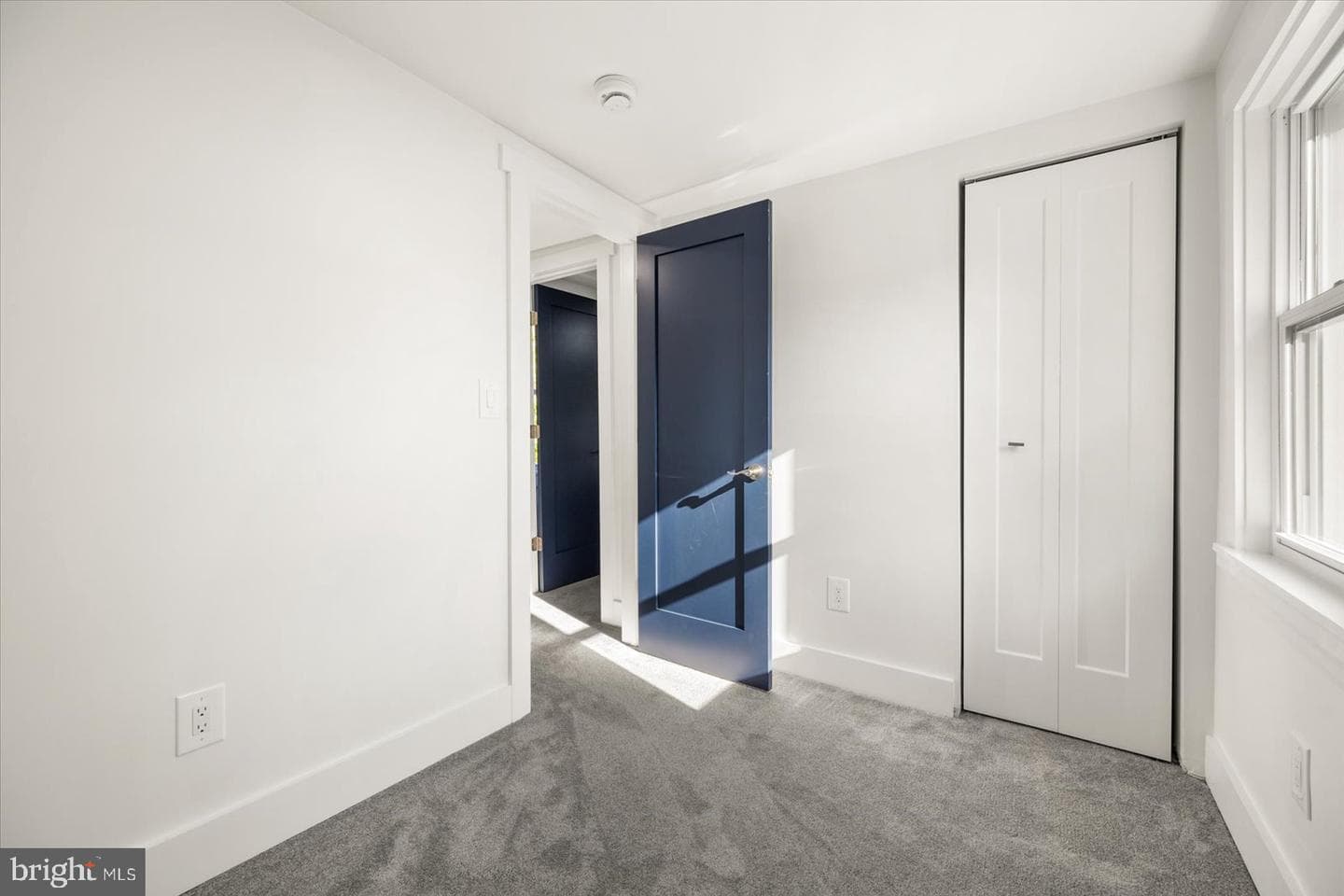 302 William Street photo 49