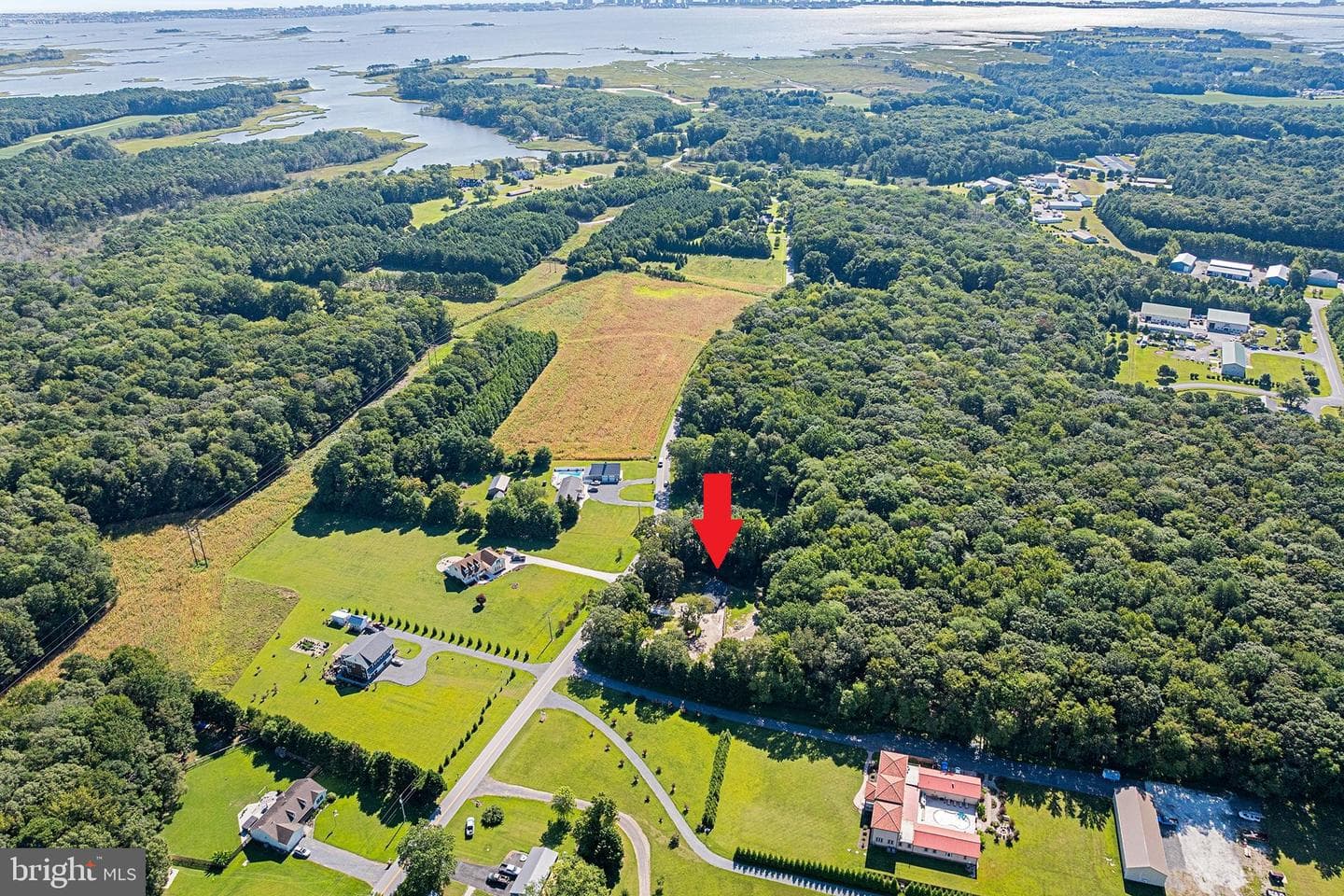 11920 Back Creek Road photo 3