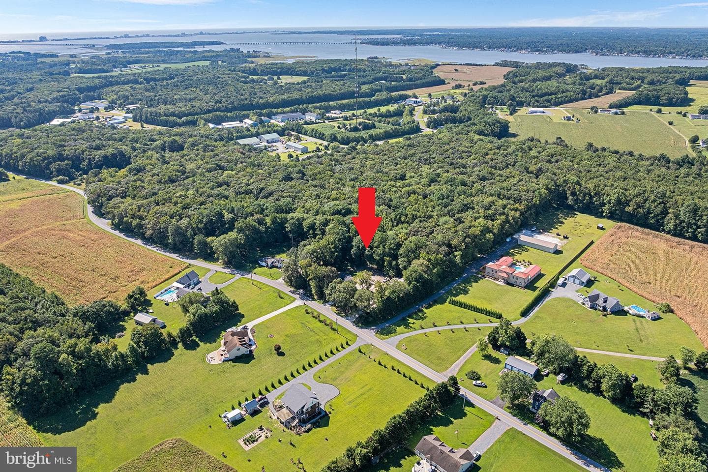 11920 Back Creek Road photo 4