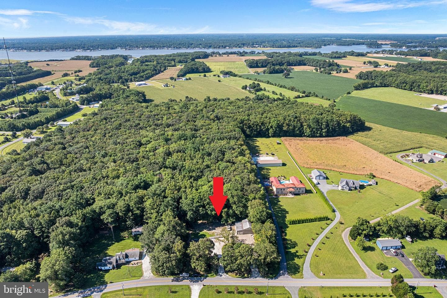 11920 Back Creek Road photo 5