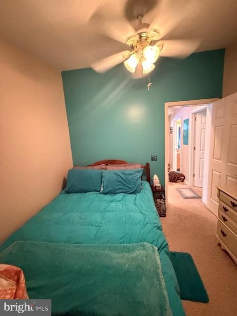 360 Timberline Circle photo 28