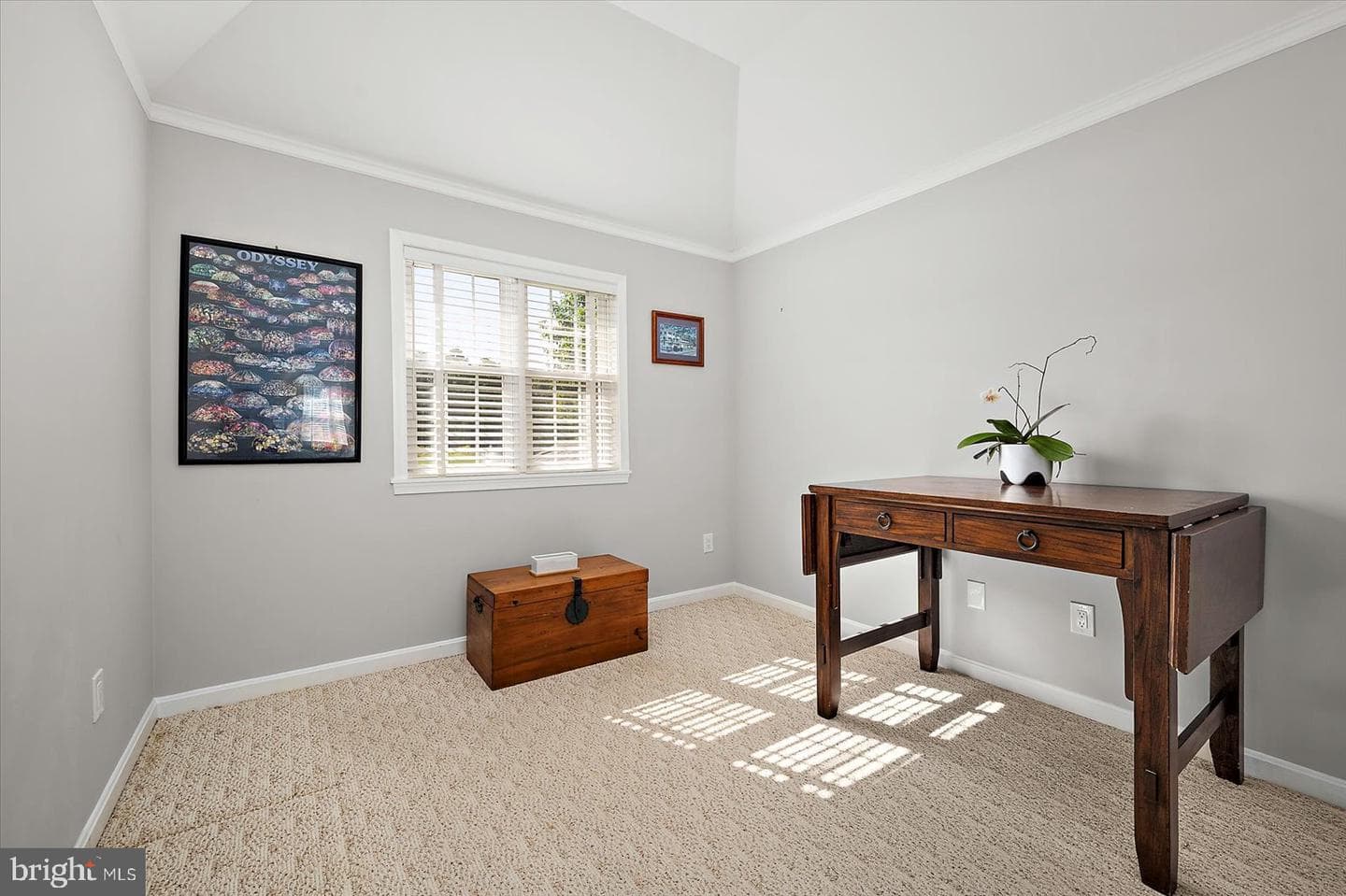 10909 Player Lane photo 63