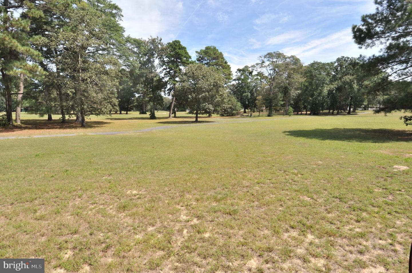 18 Greenway Avenue photo 49