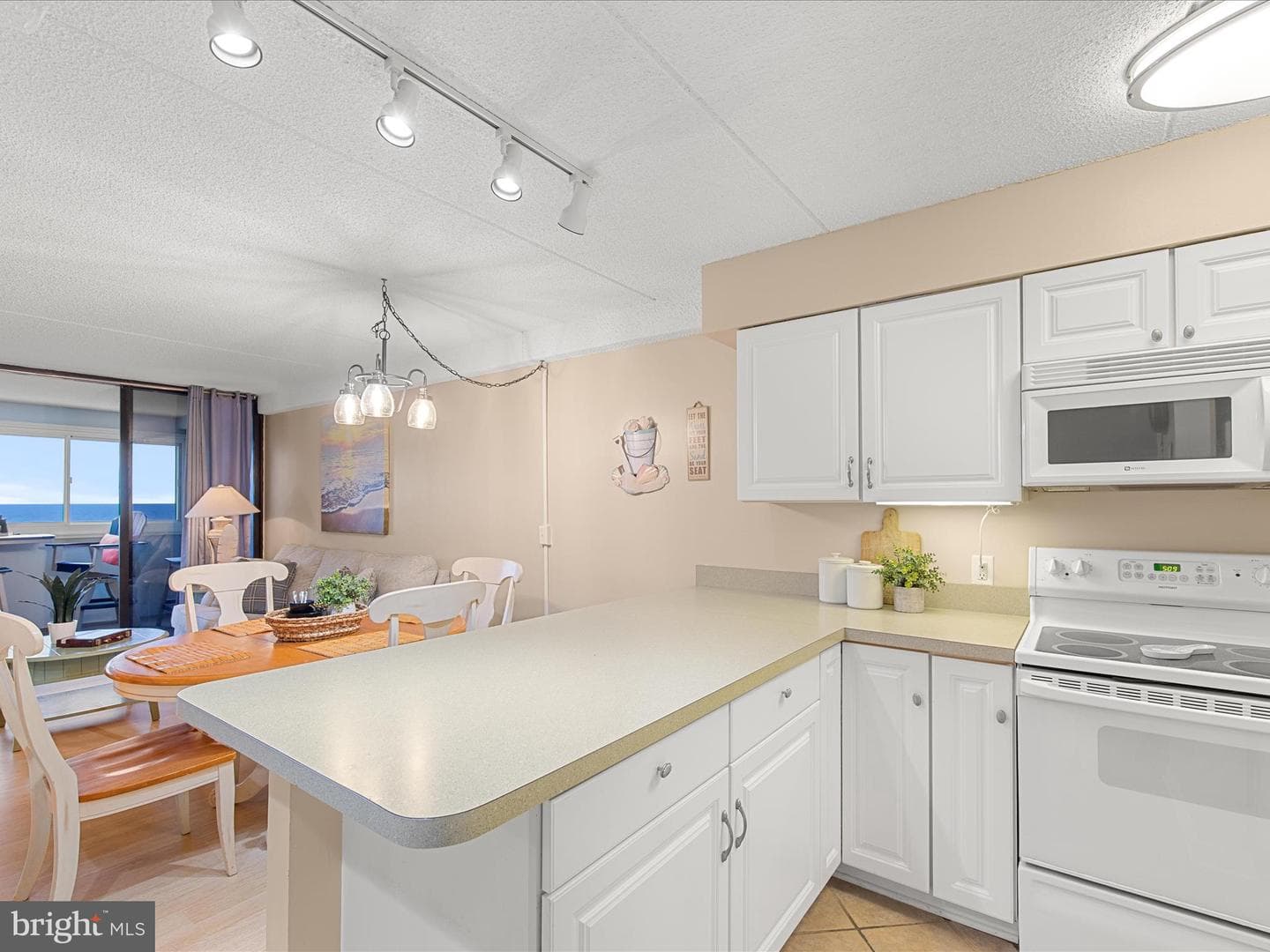 10300 Coastal Highway #505 photo 36