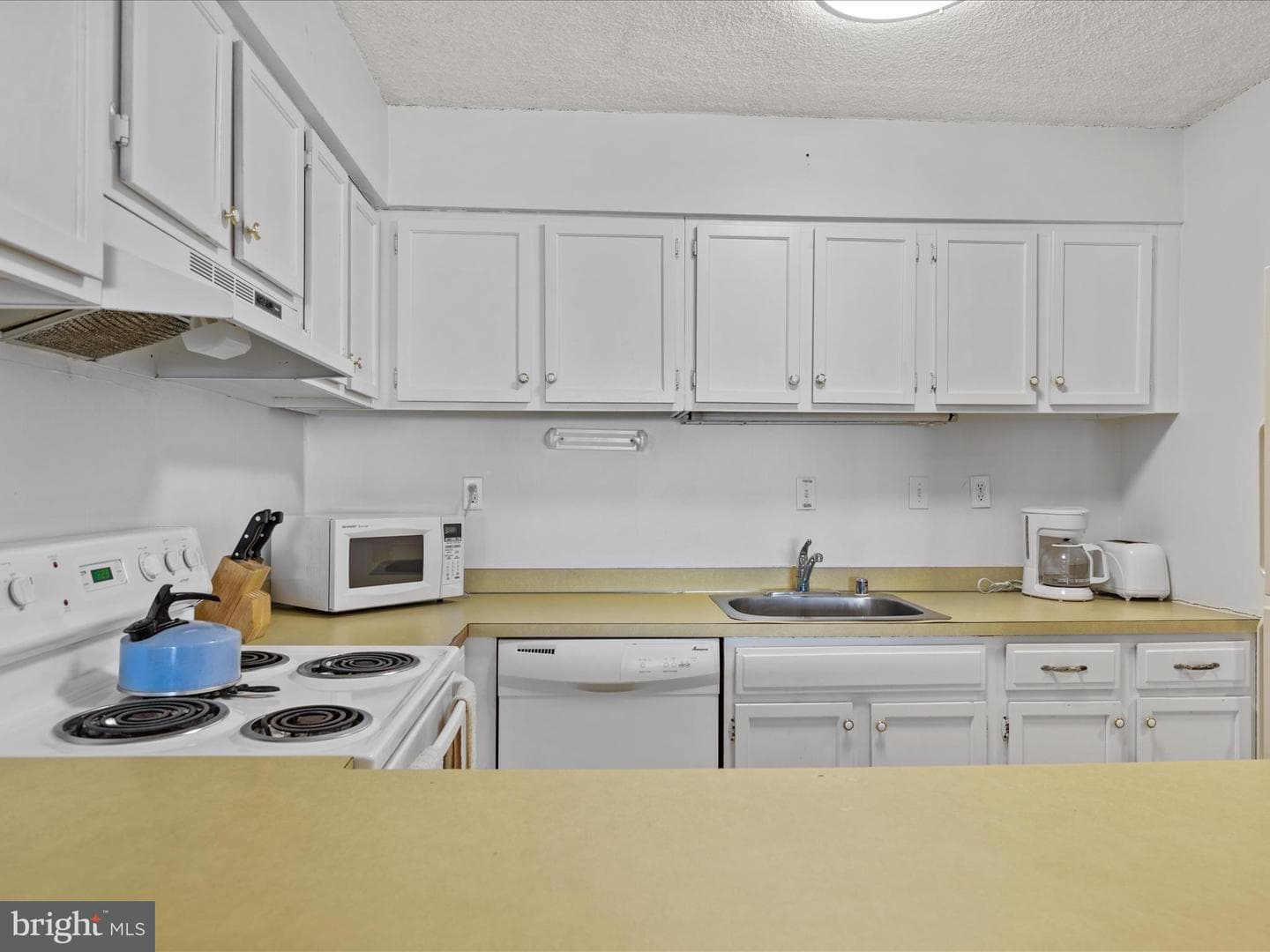 10300 Coastal Highway #1403 photo 4