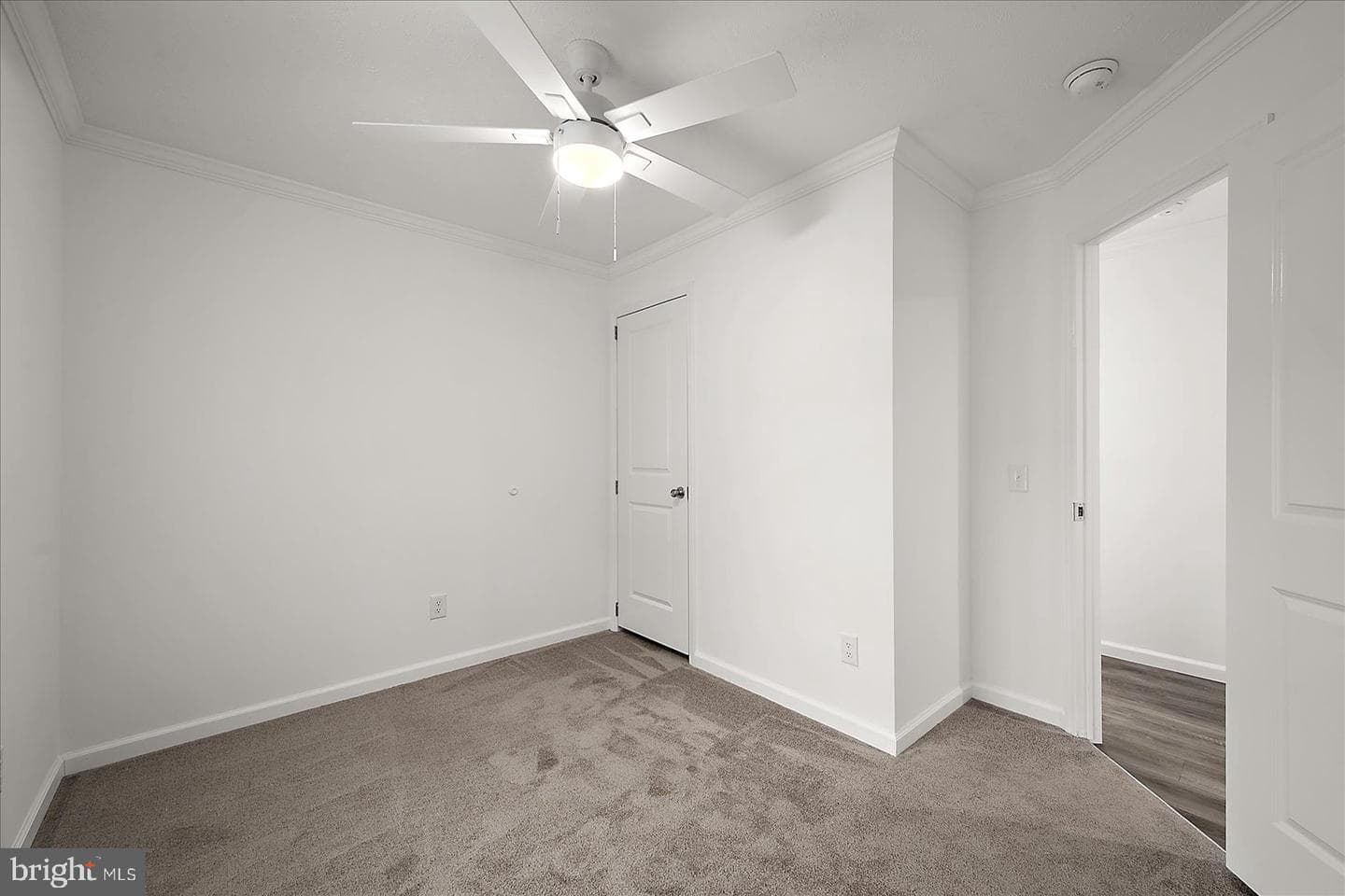 9824 Salt Life Lane photo 23