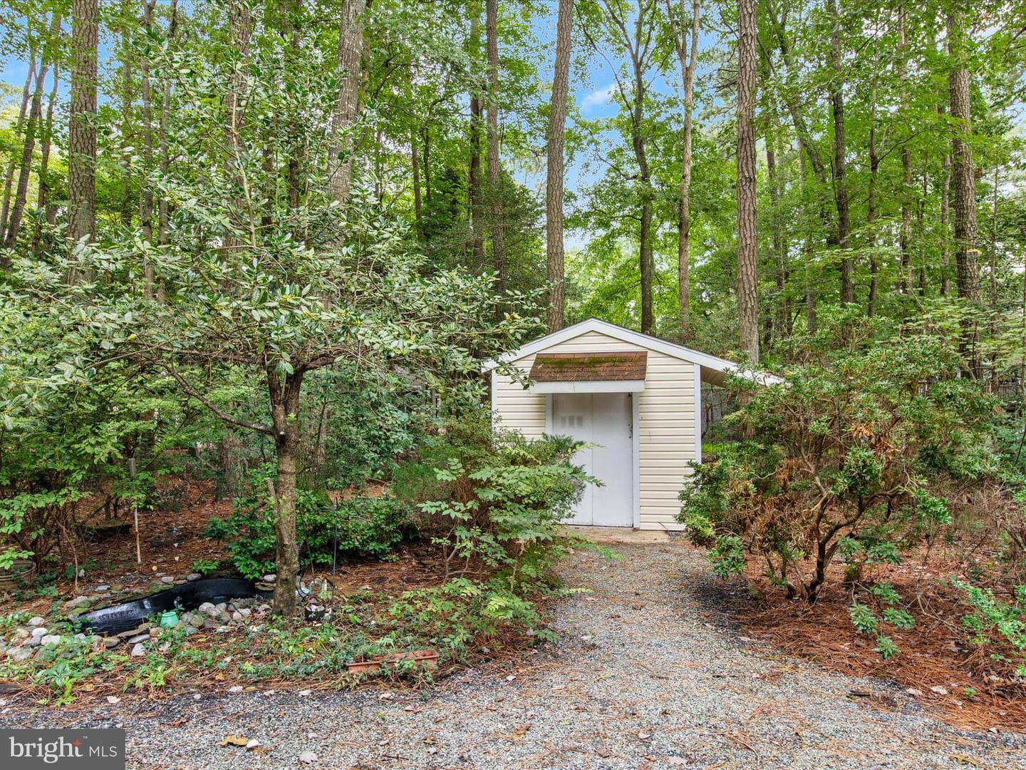 33 Pinehurst Road photo 32
