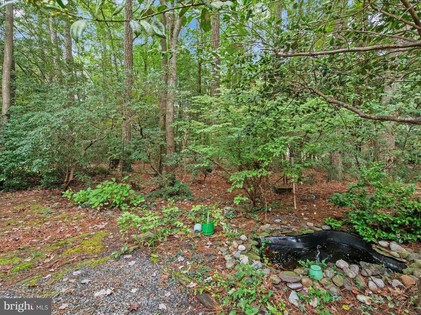 33 Pinehurst Road photo 36