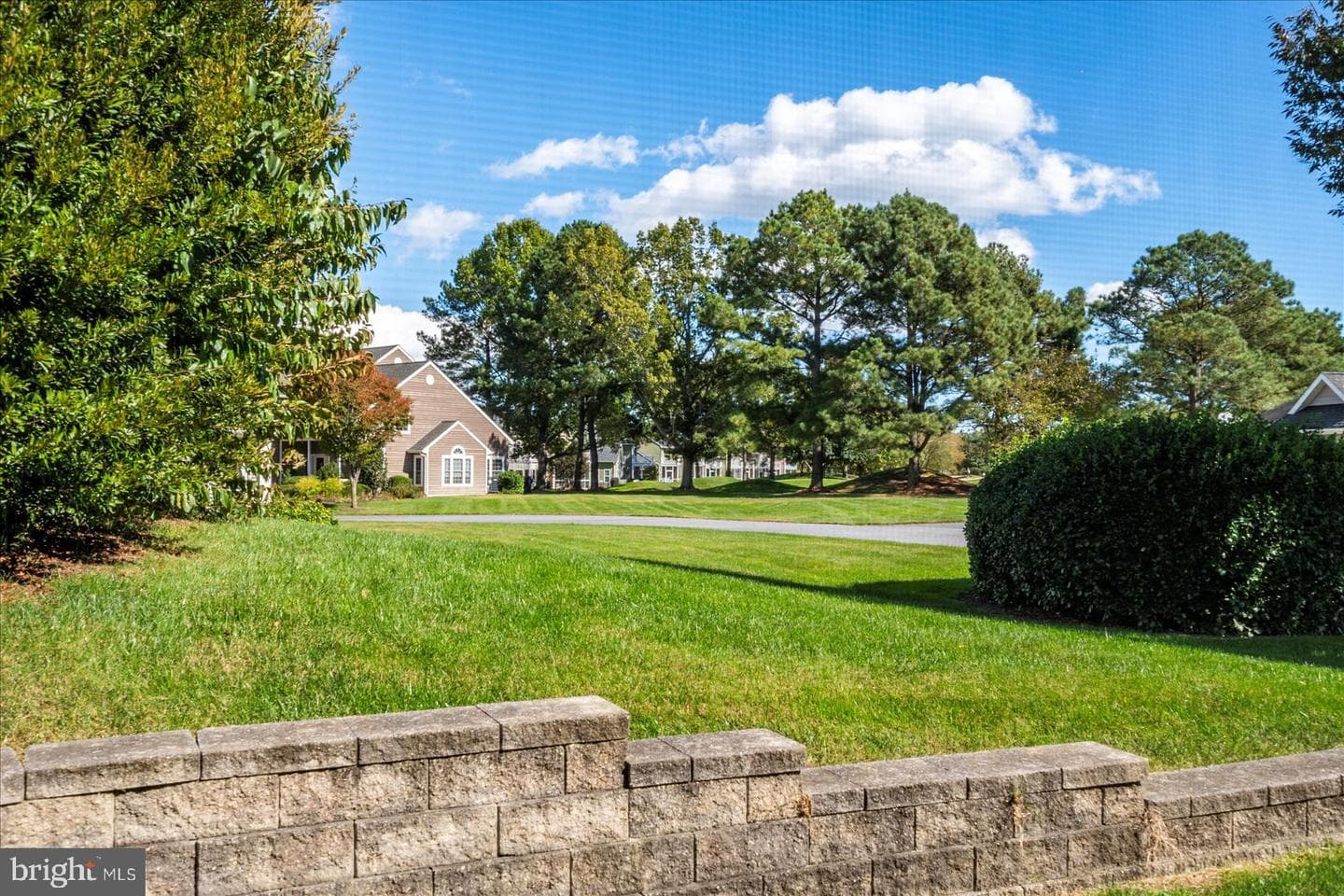 13141 Royal Lytham Lane #133 photo 59