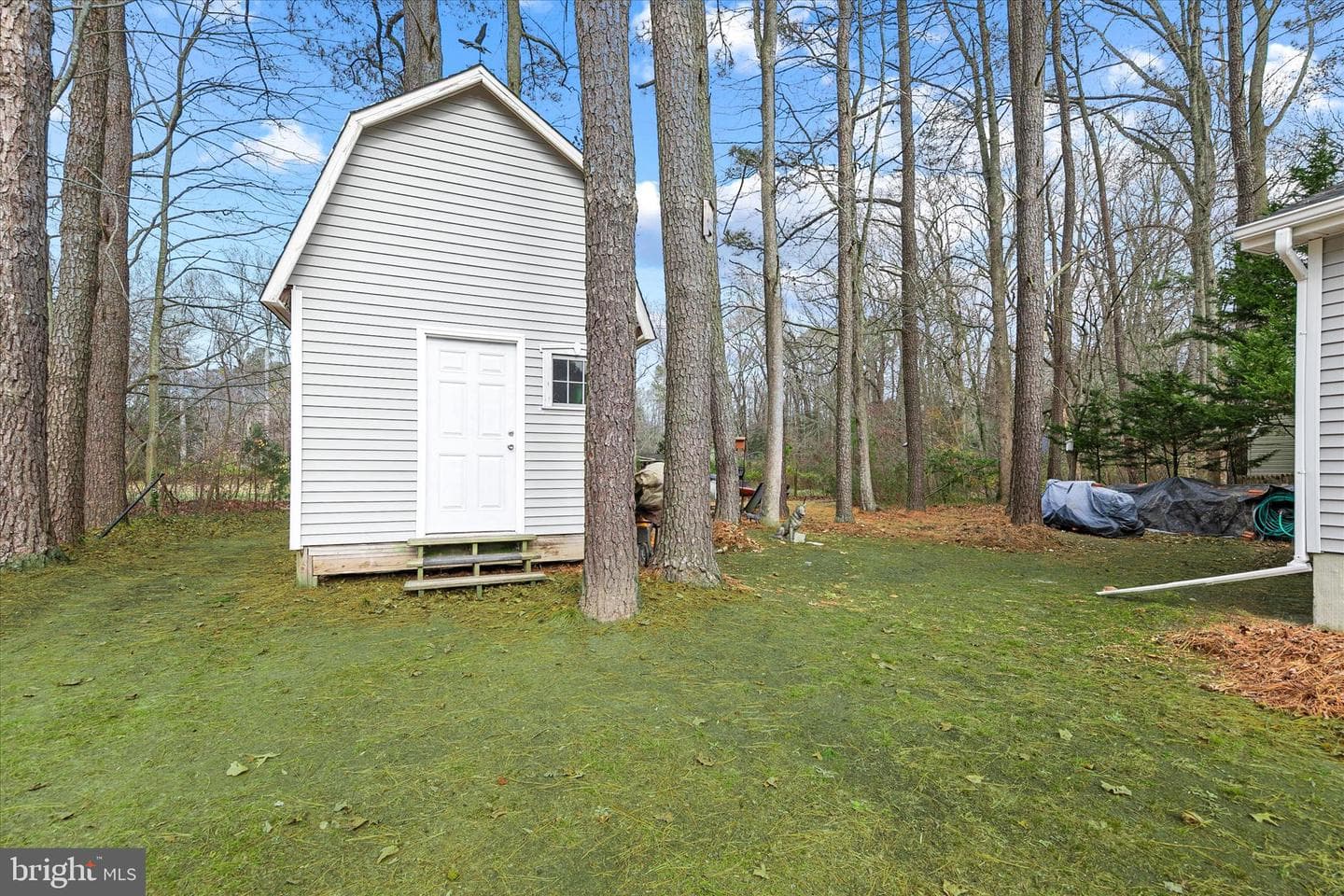 50 Admiral Avenue photo 34