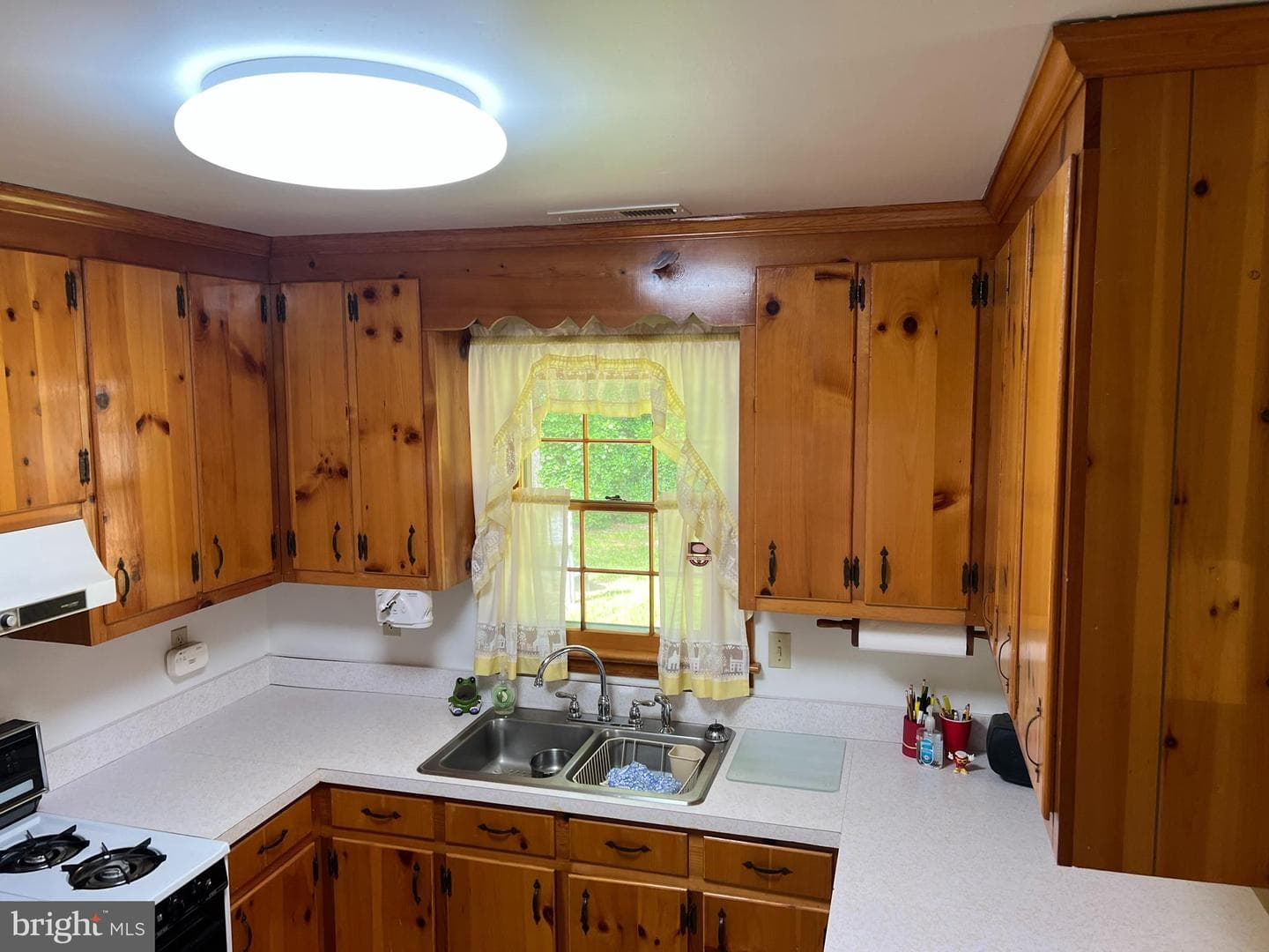 5803 Steffe Drive photo 20