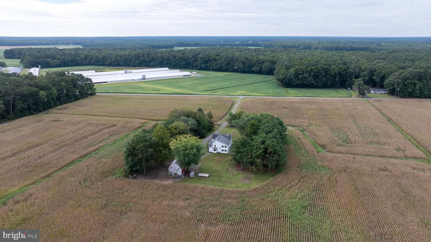 3557 Sheephouse Road photo 82
