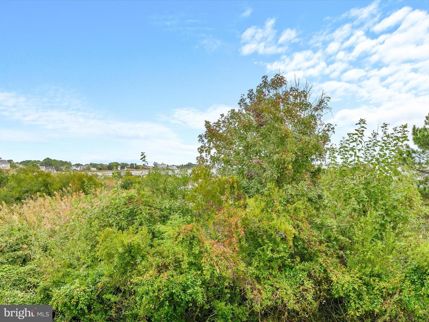 12909 Sand Bar Ln # 5 photo 26