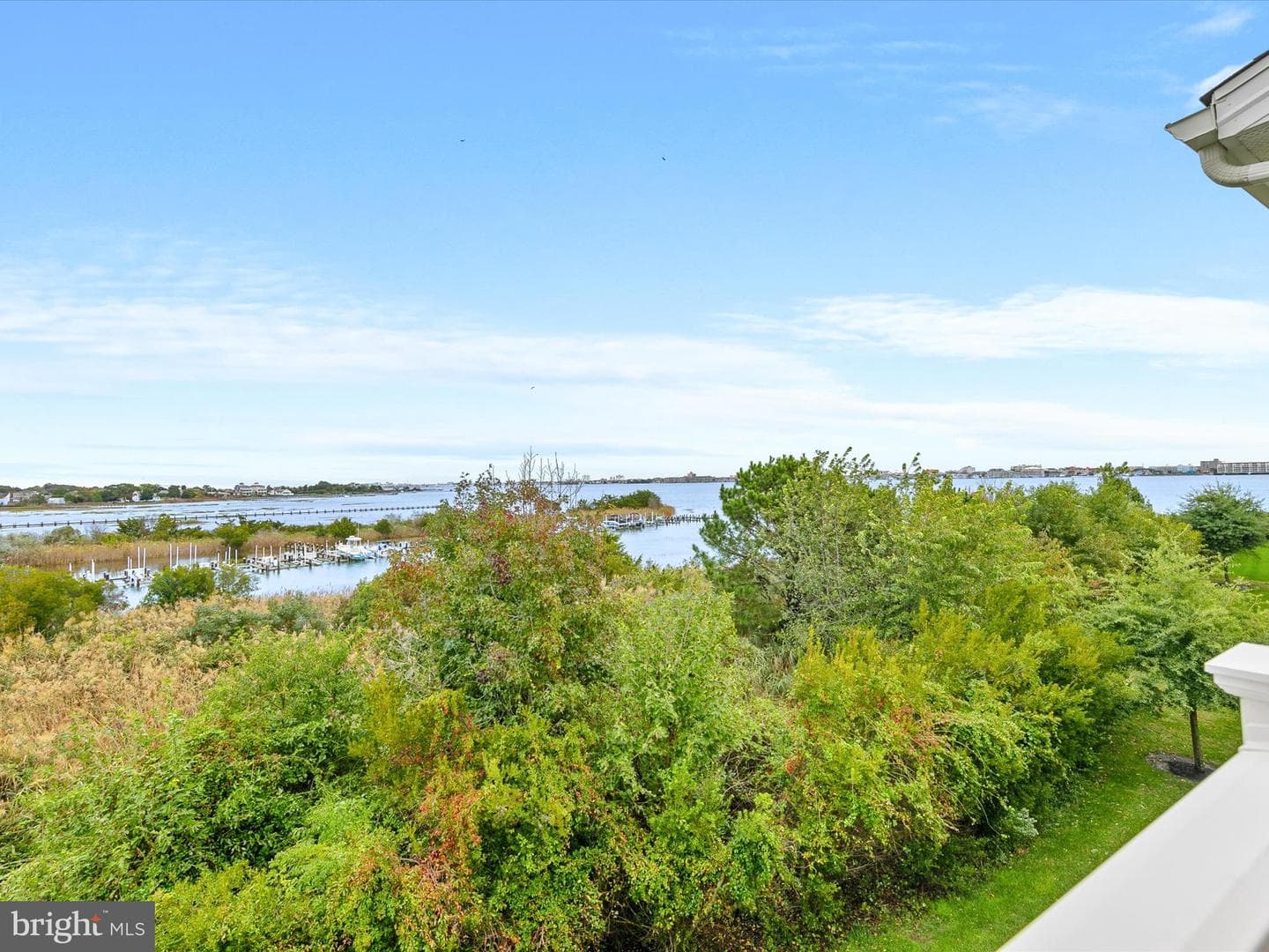12909 Sand Bar Ln # 5 photo 48