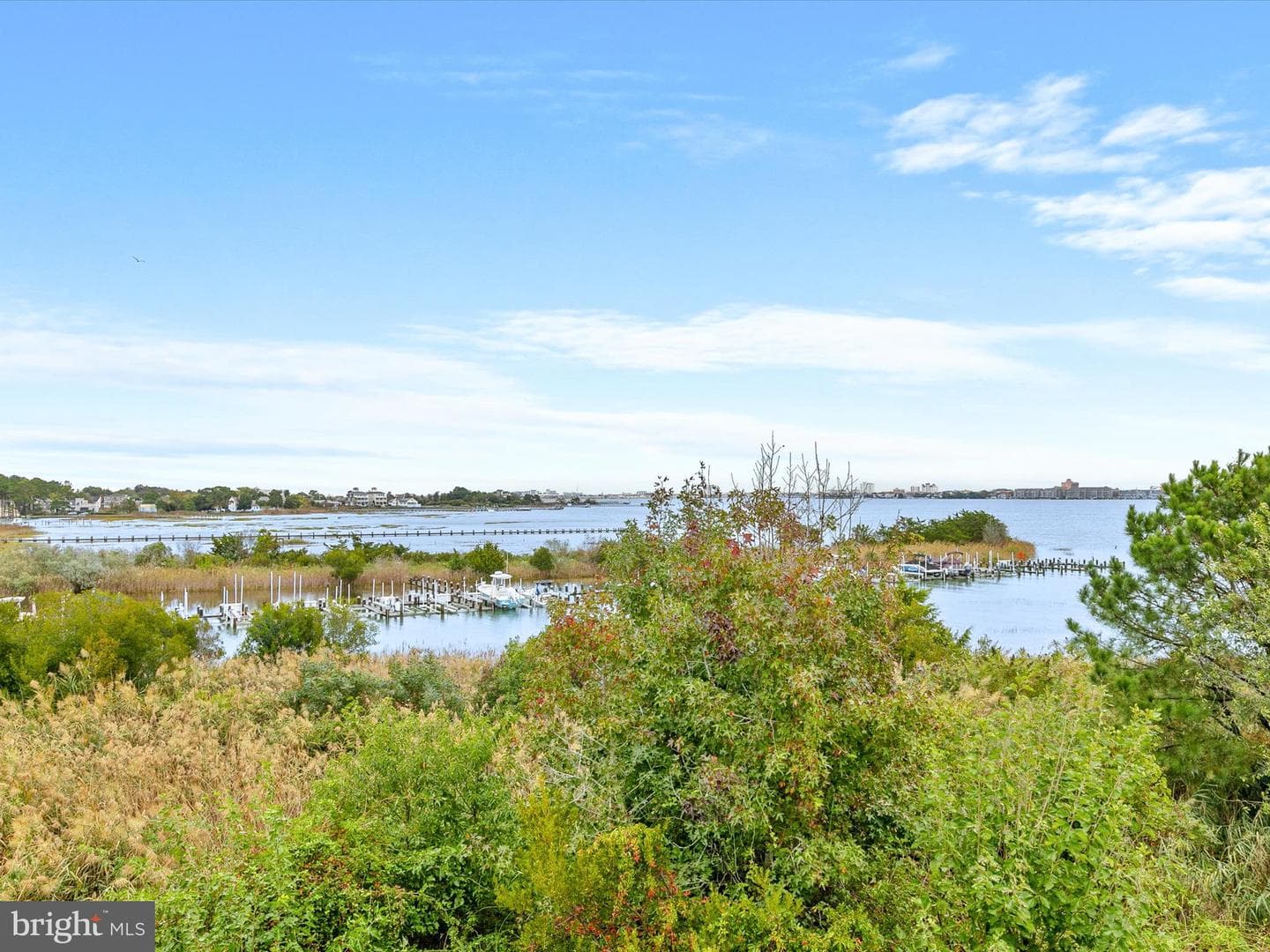 12909 Sand Bar Ln # 5 photo 49